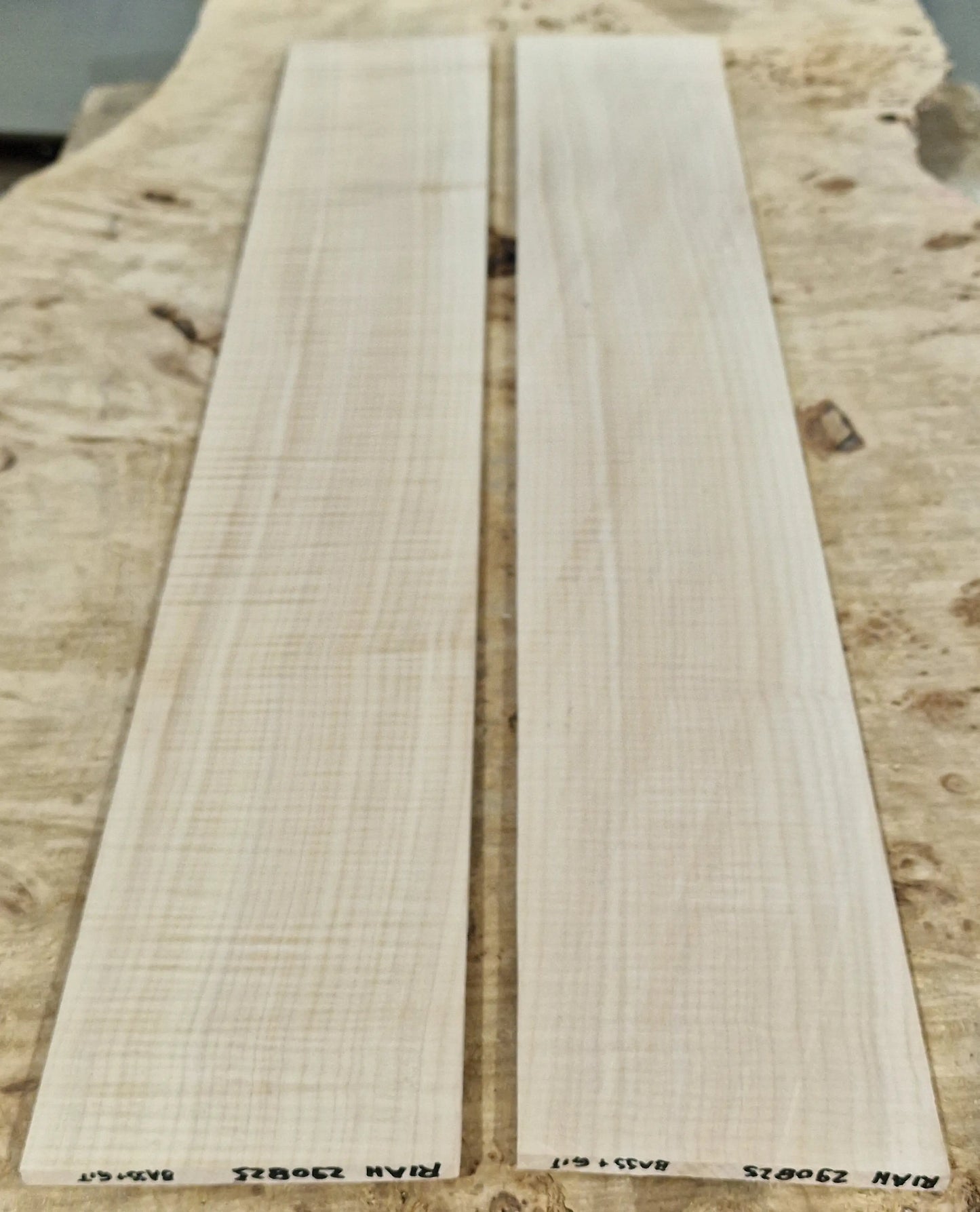 Griffbrett Riegelahorn 290825 Bass/Git