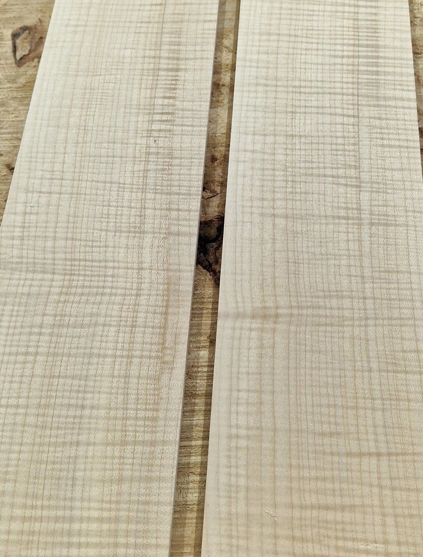 Griffbrett Riegelahorn 290825 Bass/Git