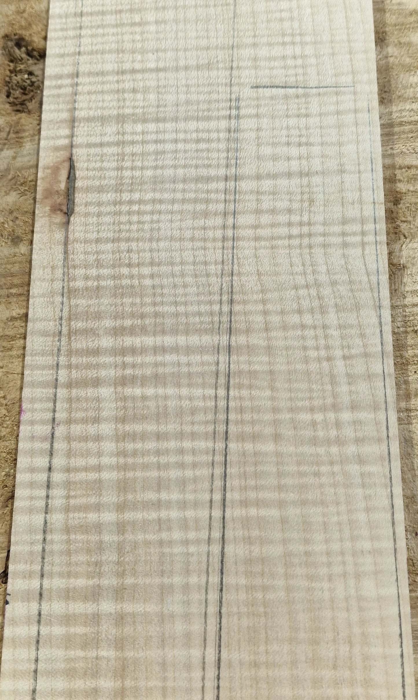 Griffbrett Riegelahorn 290825 Bass/Git