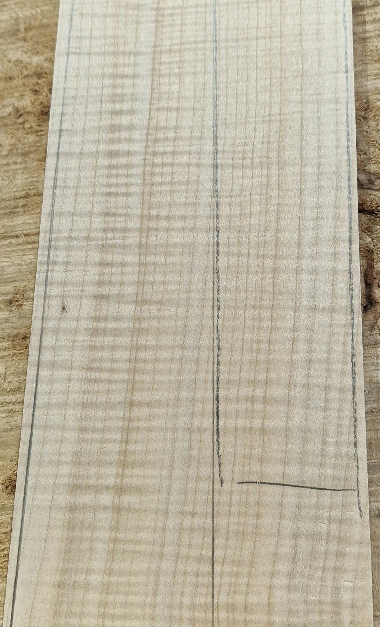 Griffbrett Riegelahorn 290825 Bass/Git