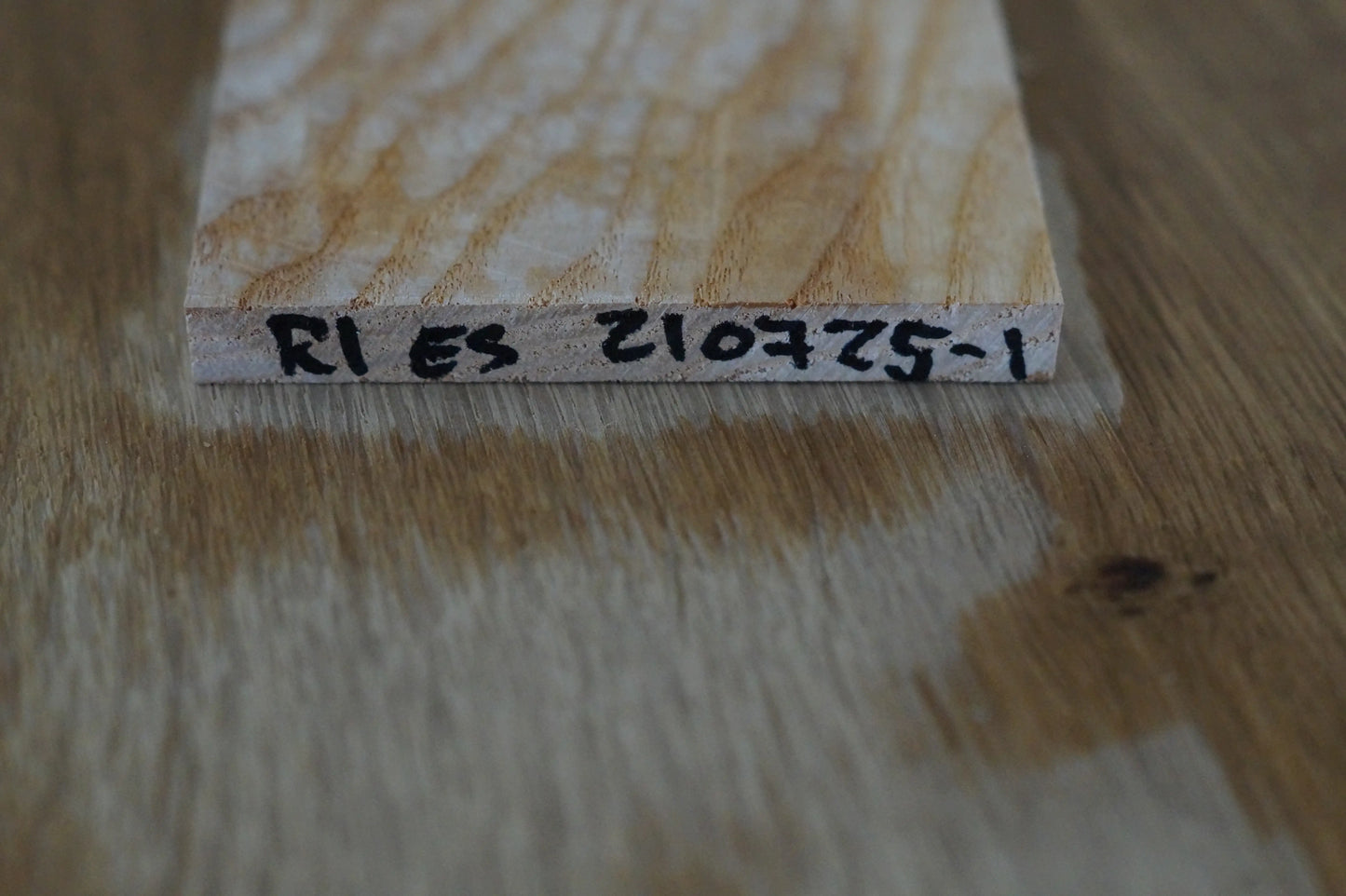 Griffbrett Riegelesche 210725-1