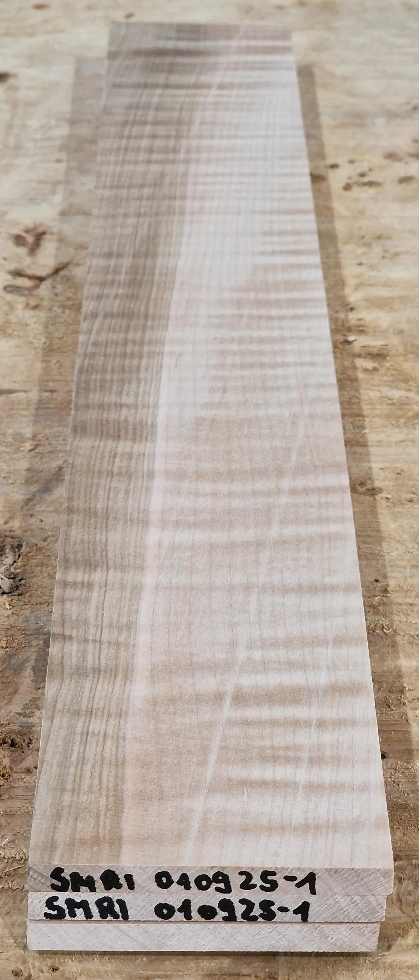 Griffbrett Soft Maple Riegel 010925-1