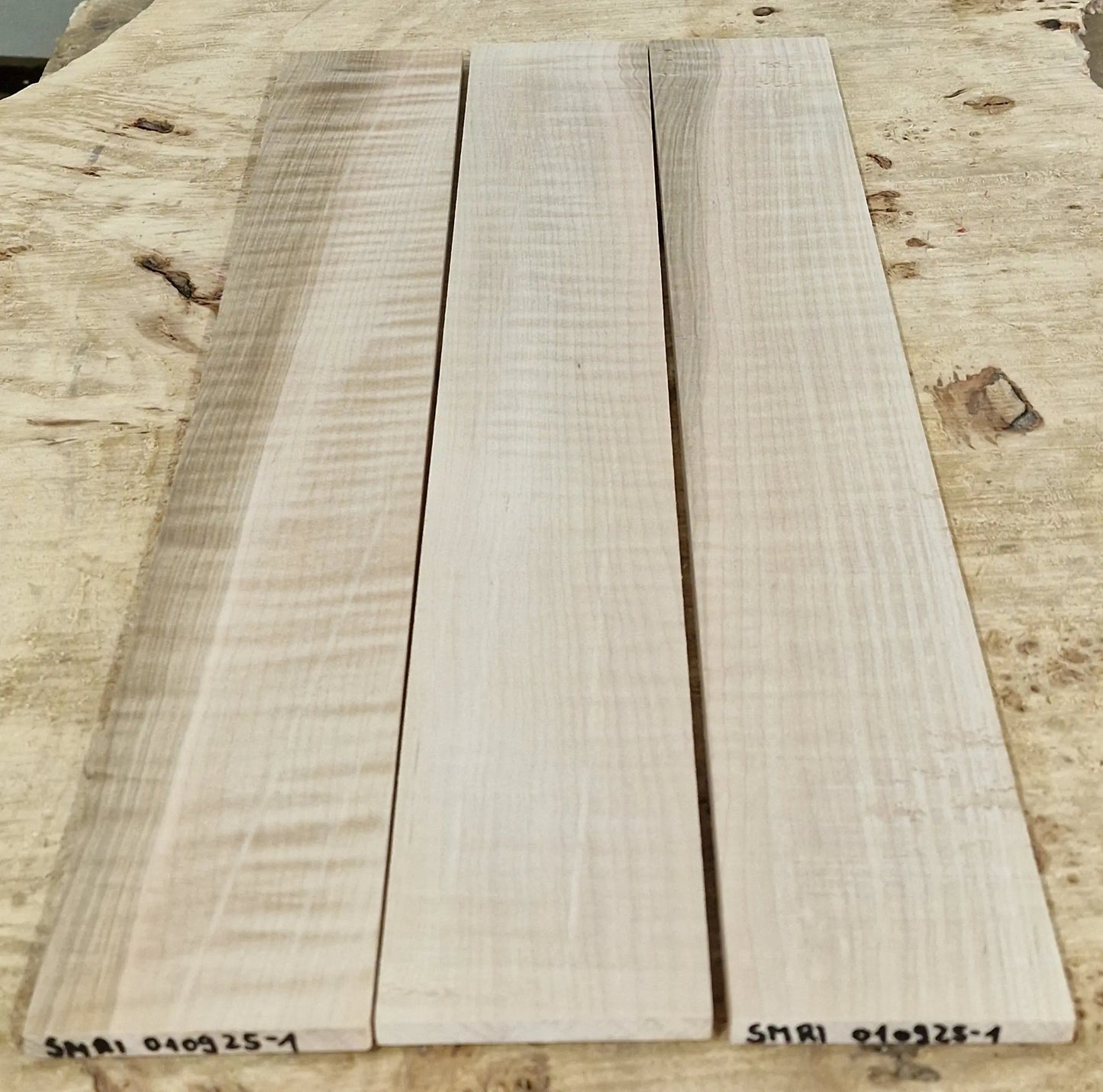 Griffbrett Soft Maple Riegel 010925-1