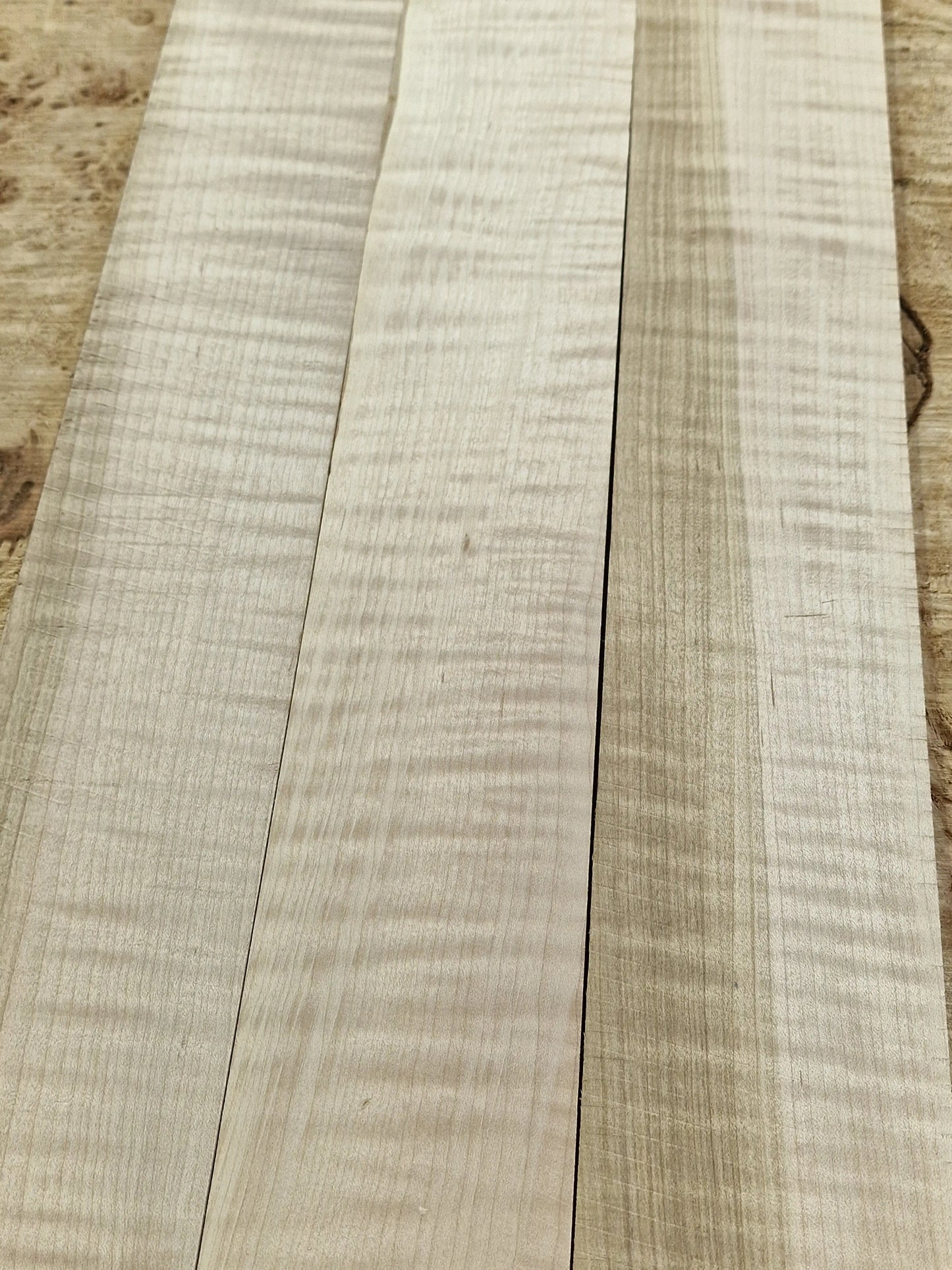 Griffbrett Soft Maple Riegel 010925-1