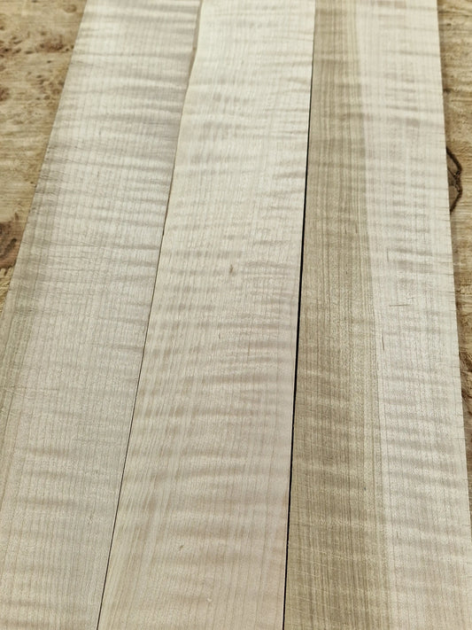 Griffbrett Soft Maple Riegel 010925-1