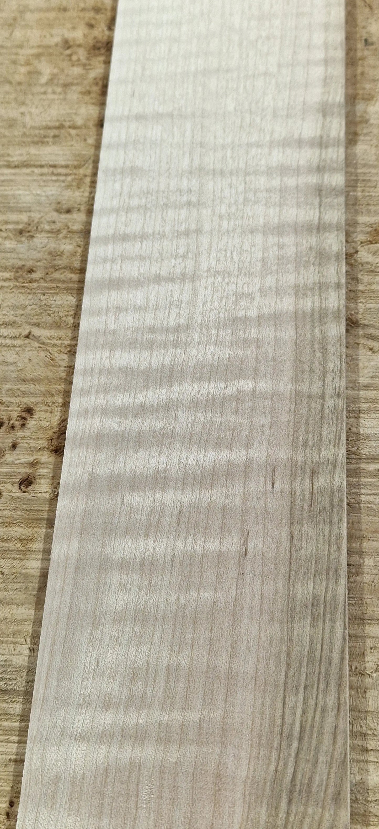Griffbrett Soft Maple Riegel 010925-1