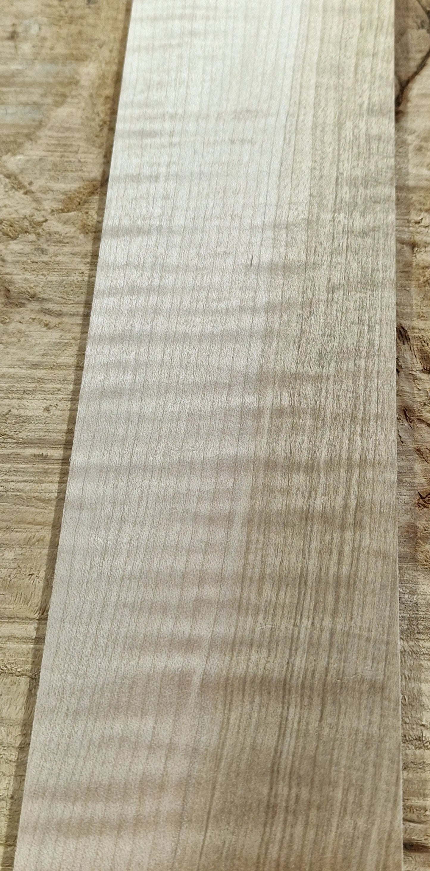 Griffbrett Soft Maple Riegel 010925-1