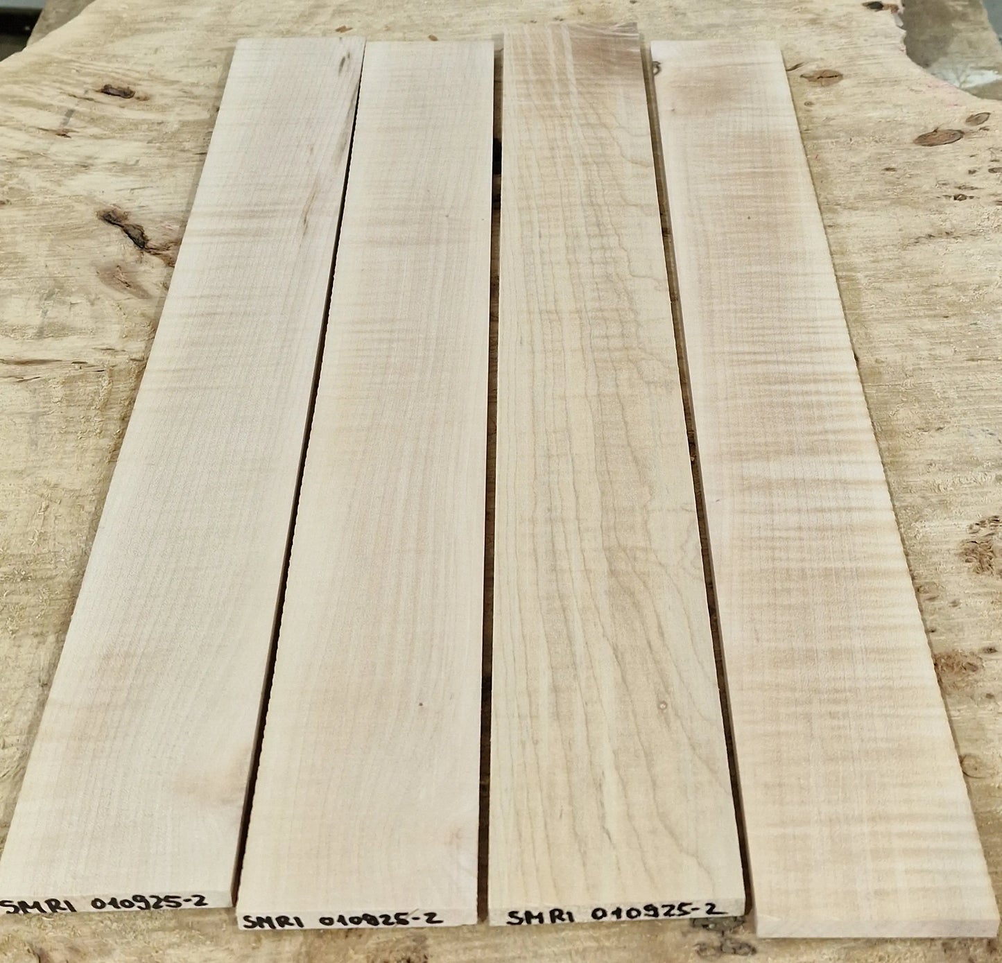 Griffbrett Soft Maple Riegel 010925-2