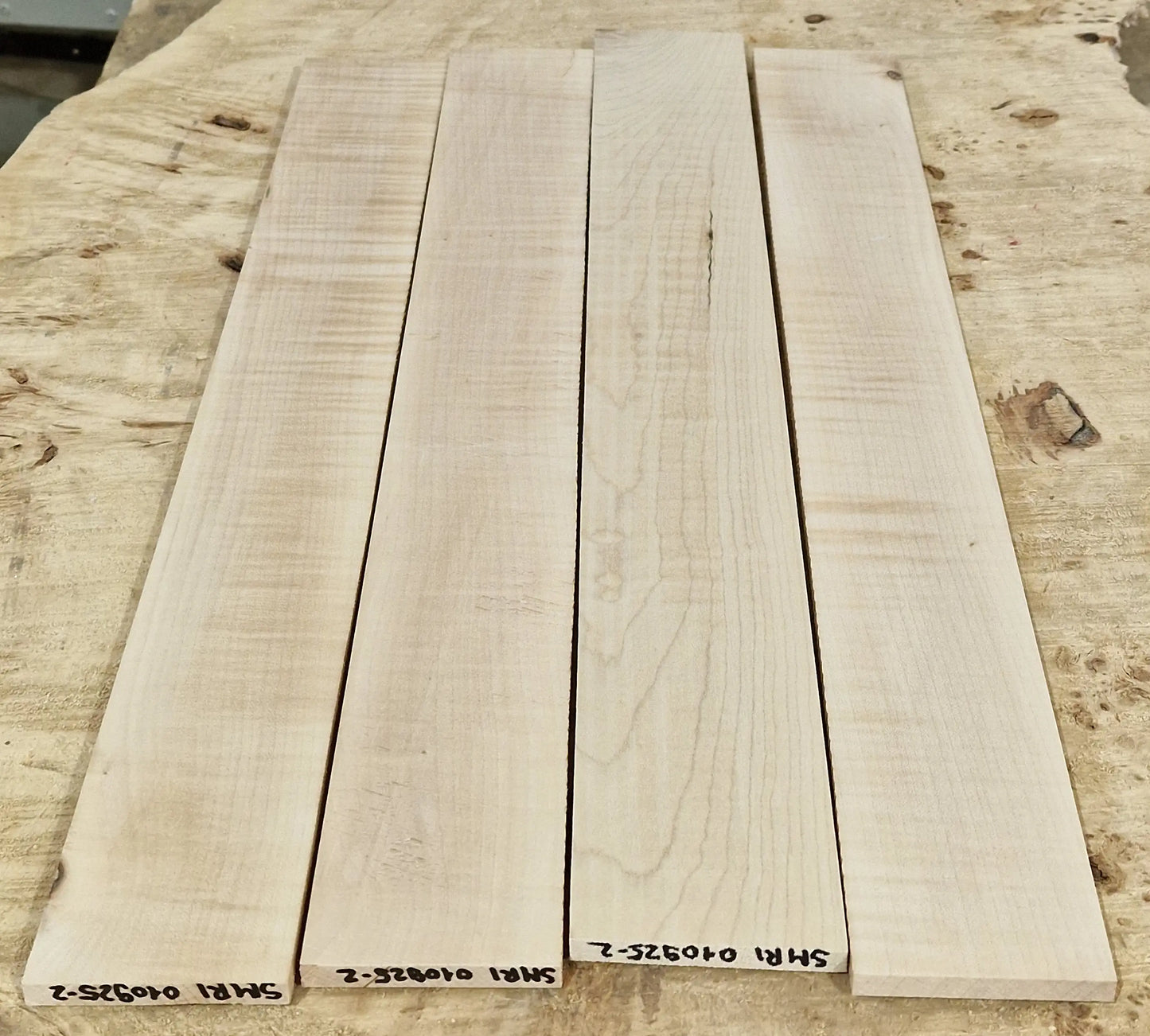 Griffbrett Soft Maple Riegel 010925-2