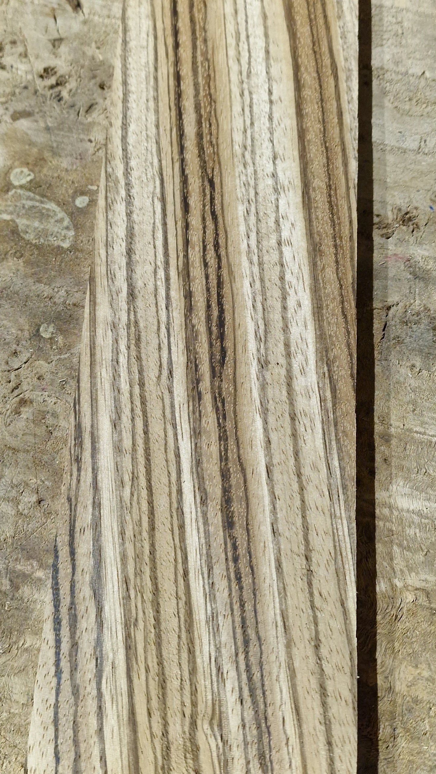 Griffbrett Zebrano 171125