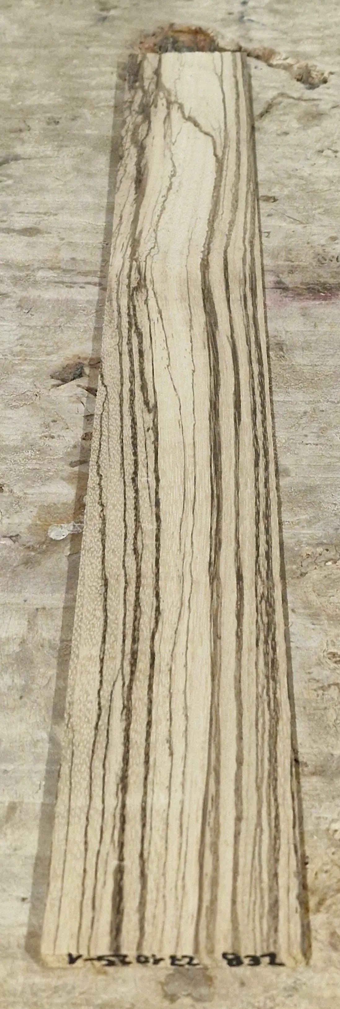 Griffbrett Zebrano 271025-1