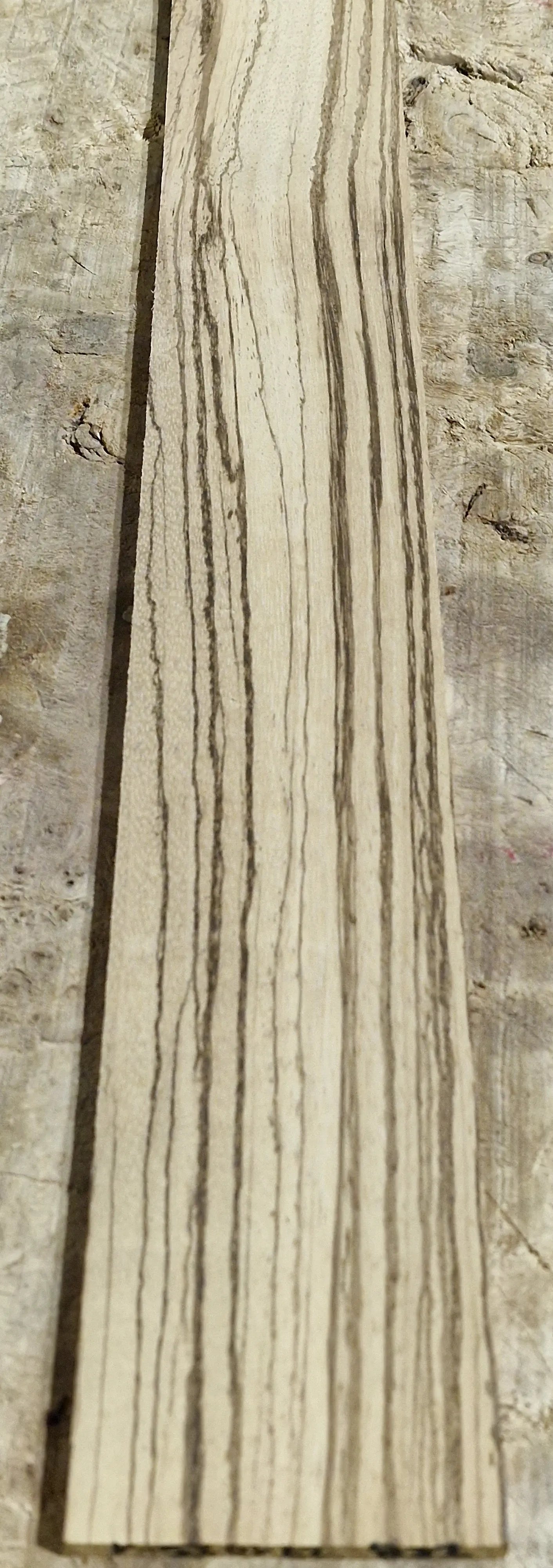 Griffbrett Zebrano 271025-1