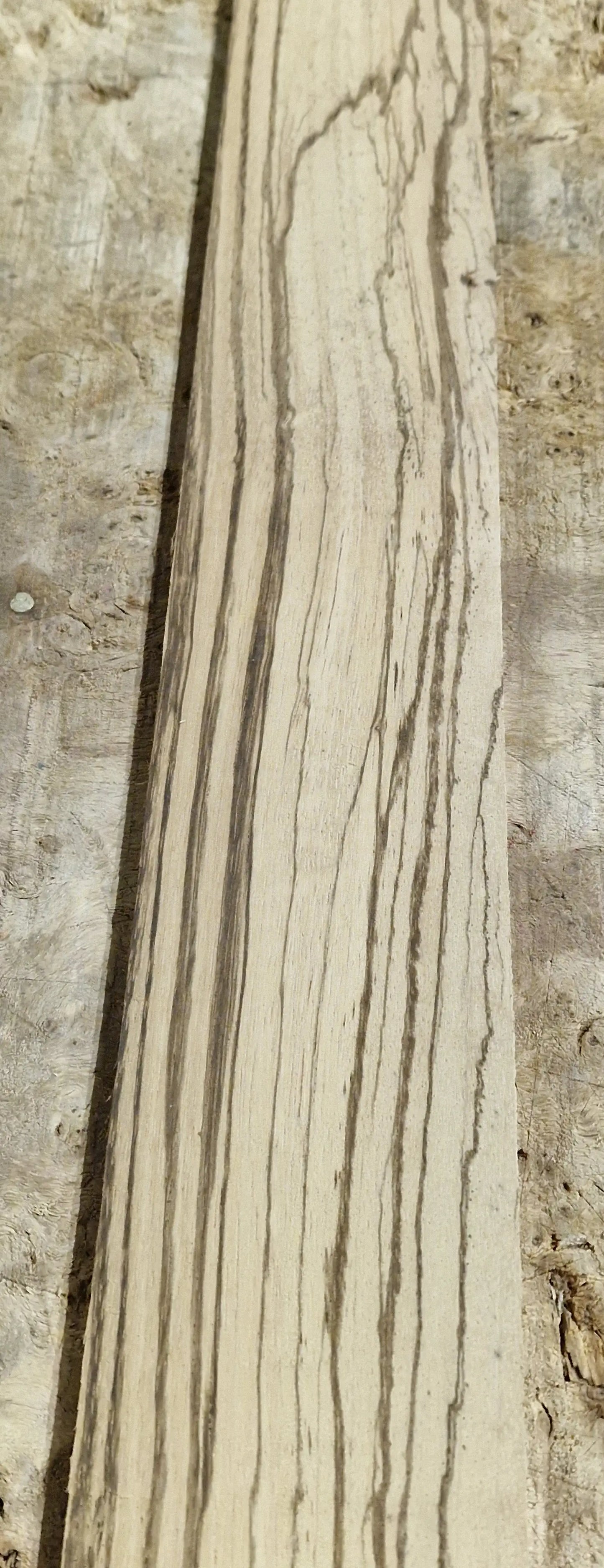 Griffbrett Zebrano 271025-1