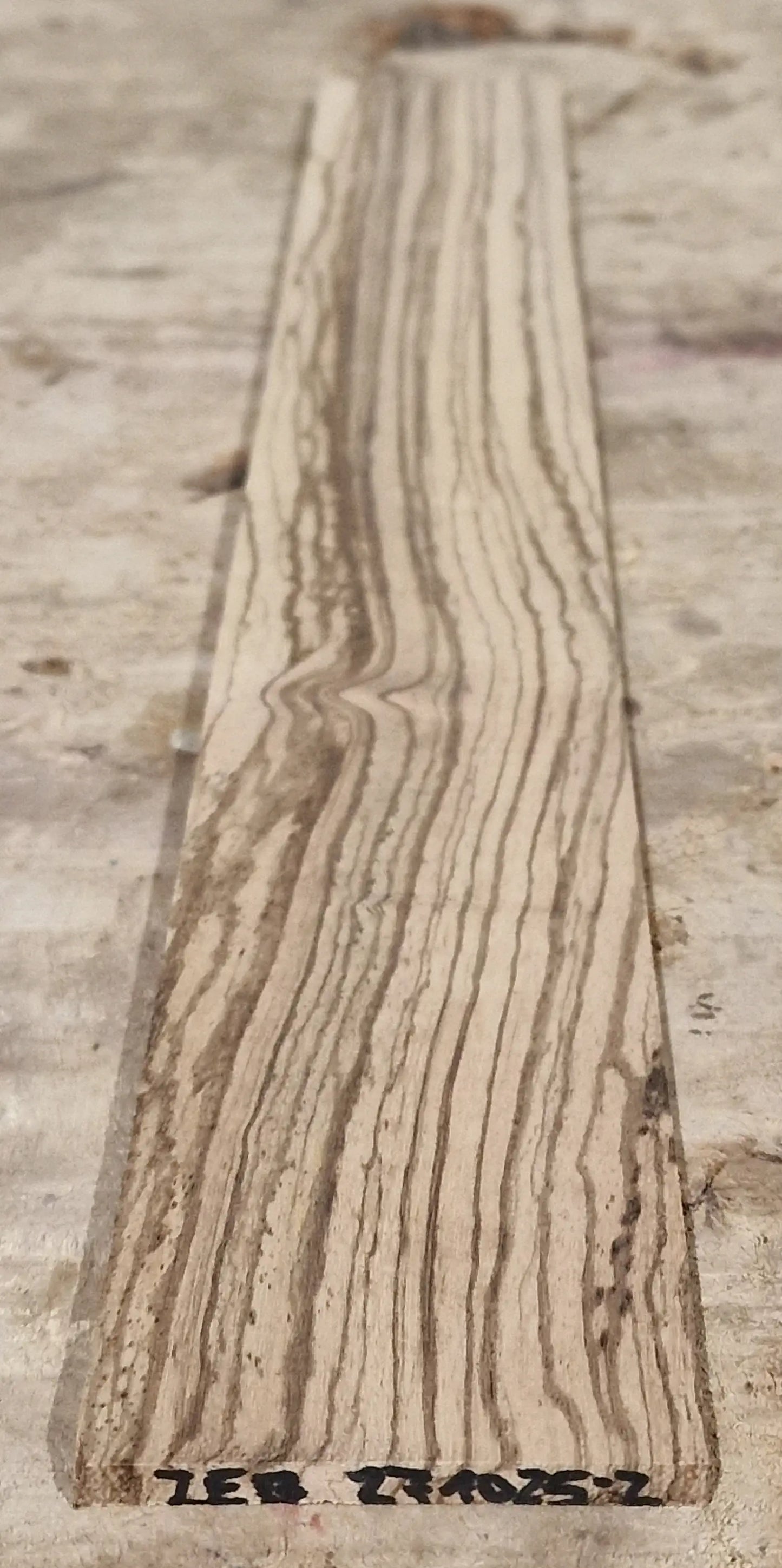 Griffbrett Zebrano 271025-2