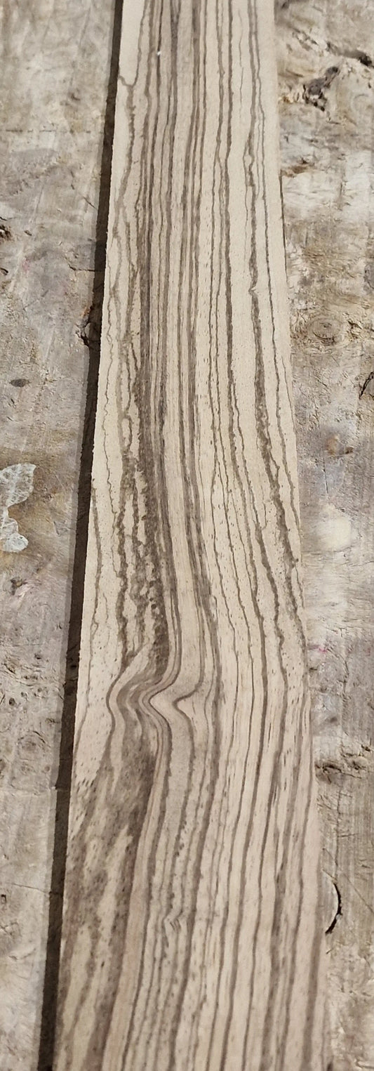 Griffbrett Zebrano 271025-2