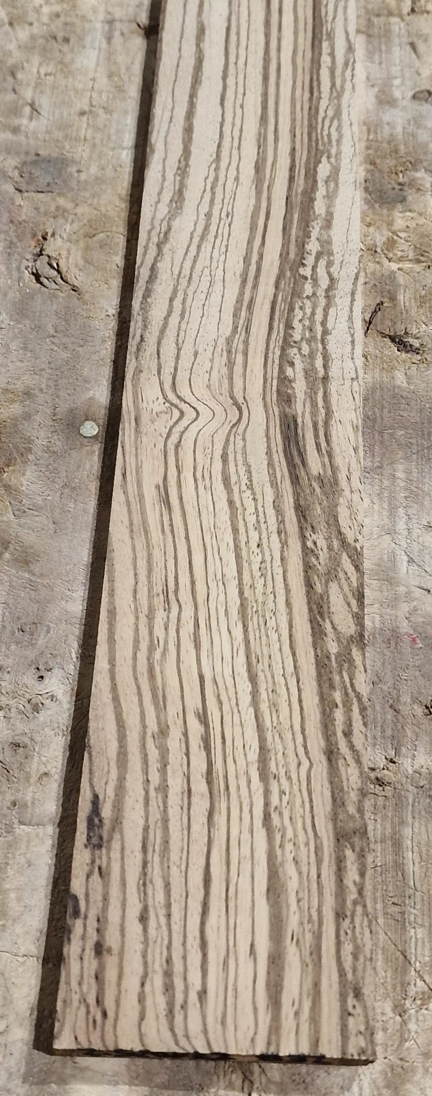 Griffbrett Zebrano 271025-2