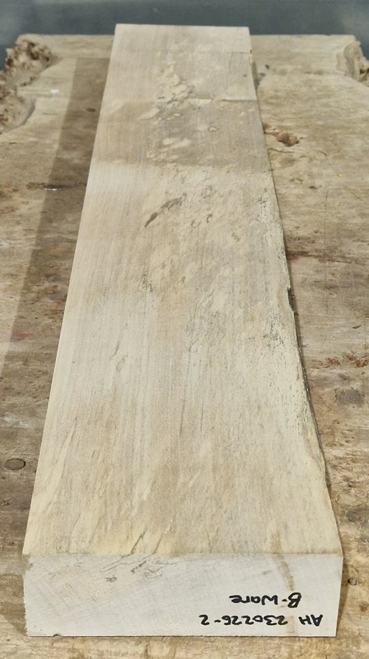 Halsrohling Ahorn 230226-2 B-Ware