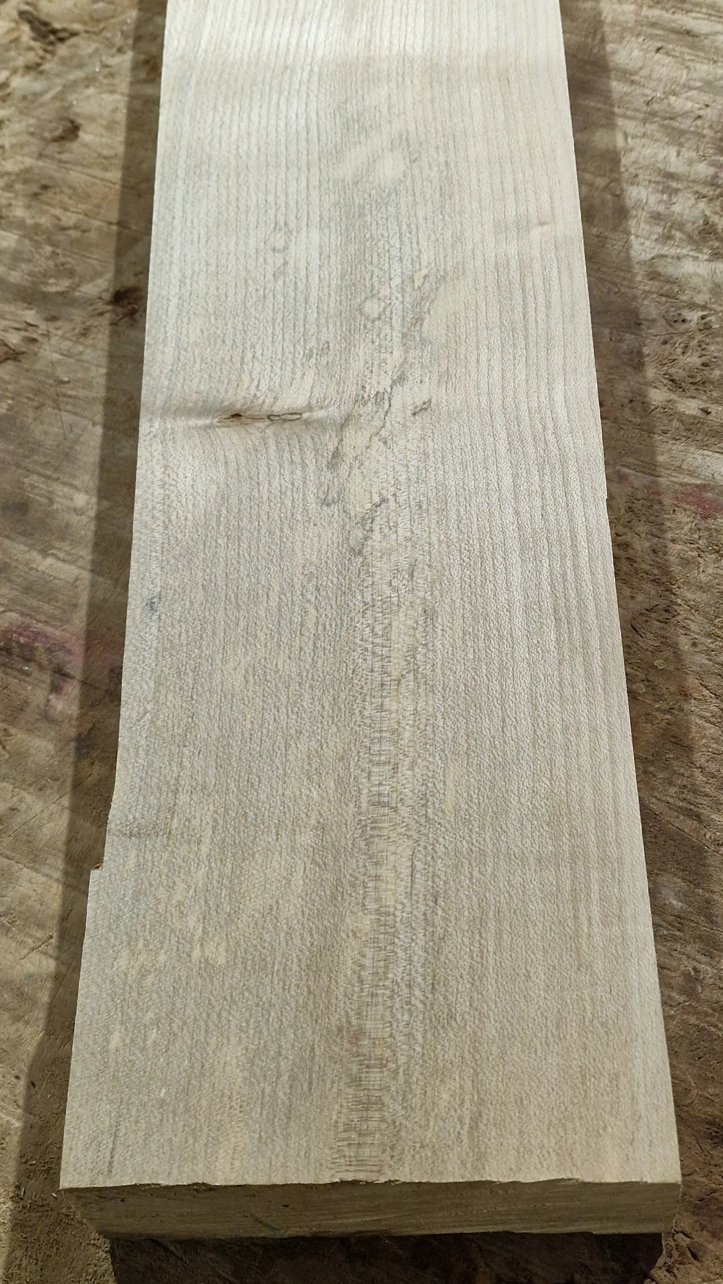 Halsrohling Ahorn 230226-2 B-Ware
