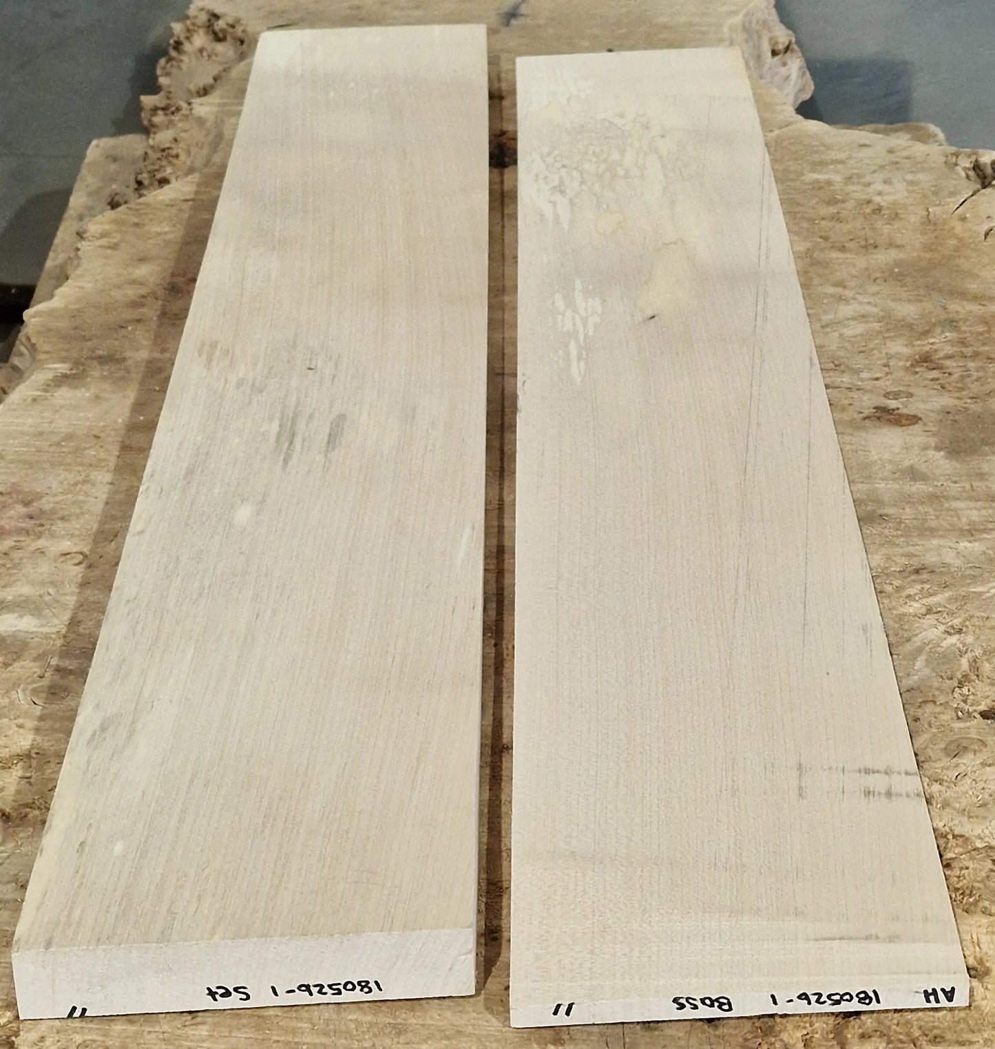 Halsrohling - Griffbrett Set Ahorn 180526-1 Bass