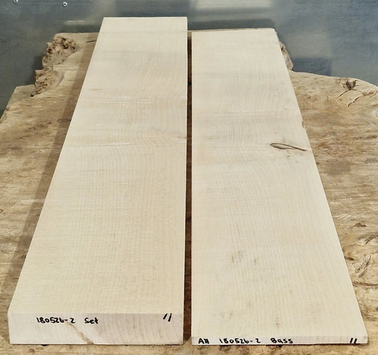 Halsrohling - Griffbrett Set Ahorn 180526-2 Bass