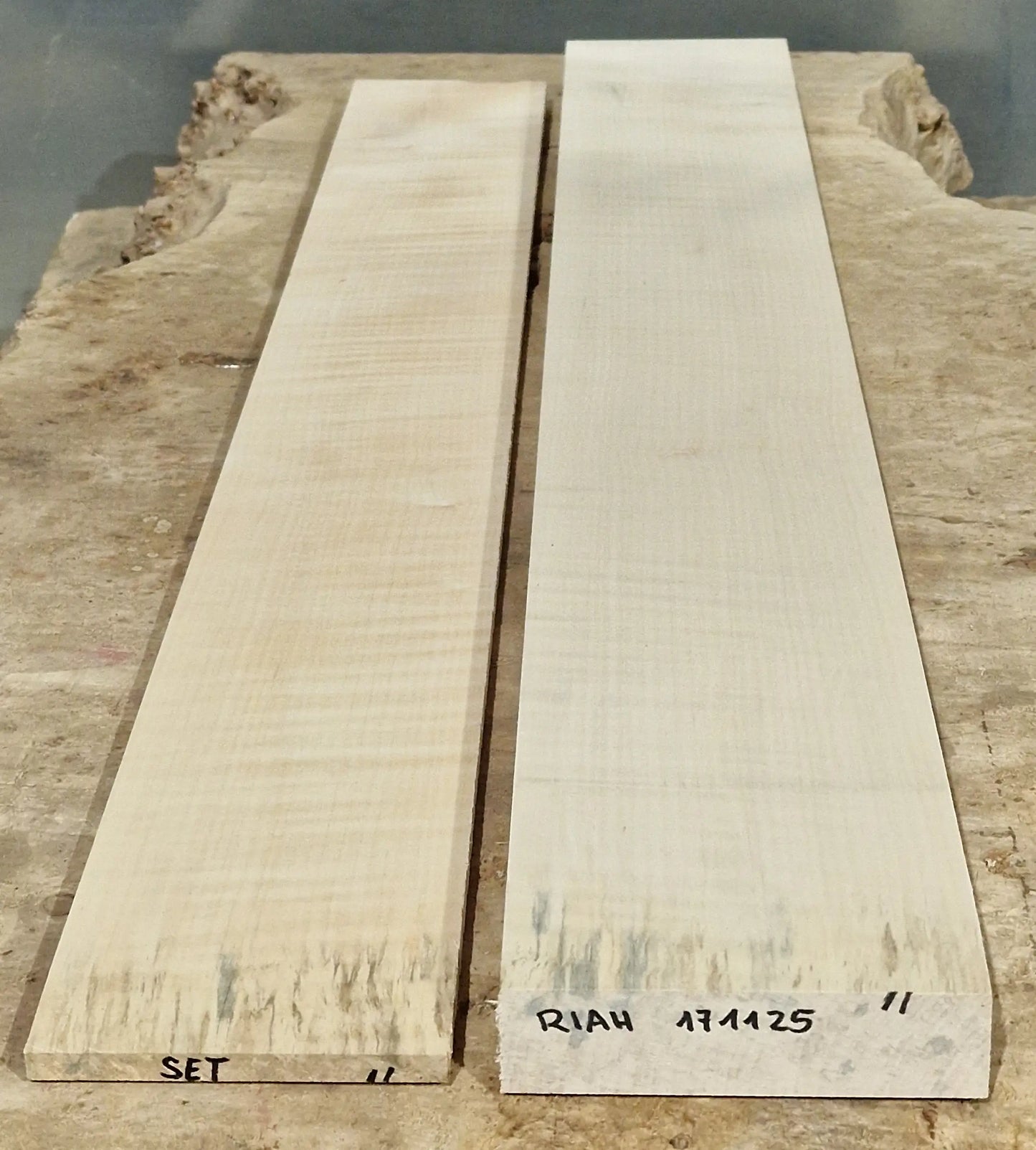 Halsrohling-Griffbrett Set Riegelahorn 171125