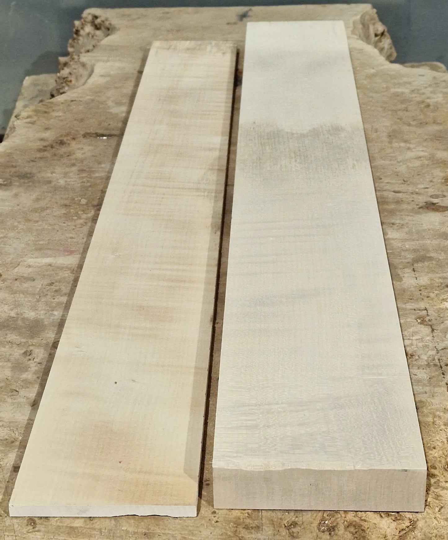 Halsrohling-Griffbrett Set Riegelahorn 171125