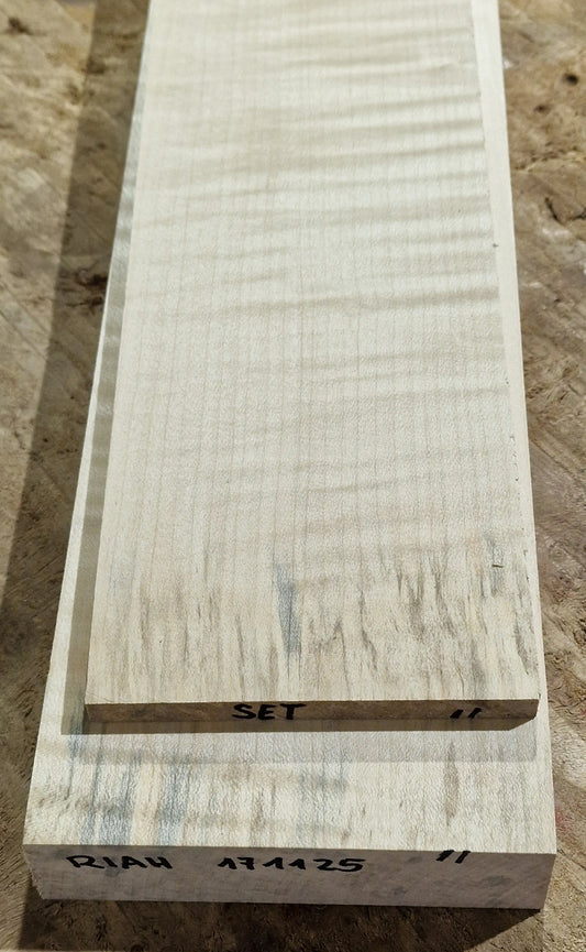 Halsrohling-Griffbrett Set Riegelahorn 171125