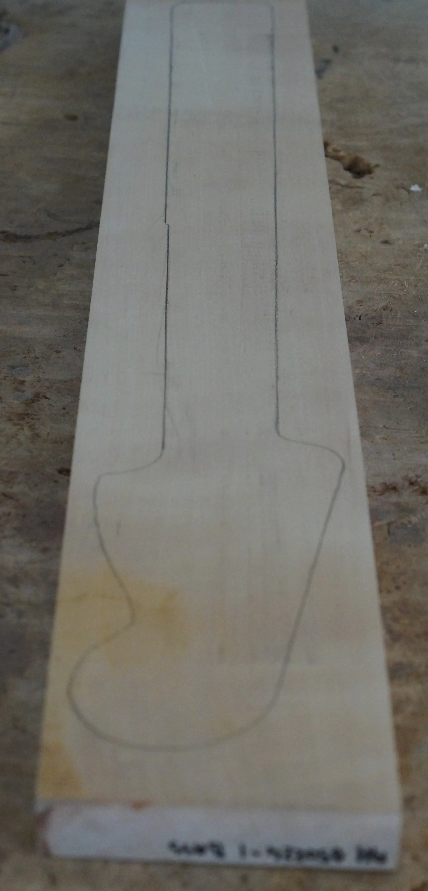 Halsrohling Ahorn 050224-1 Bass