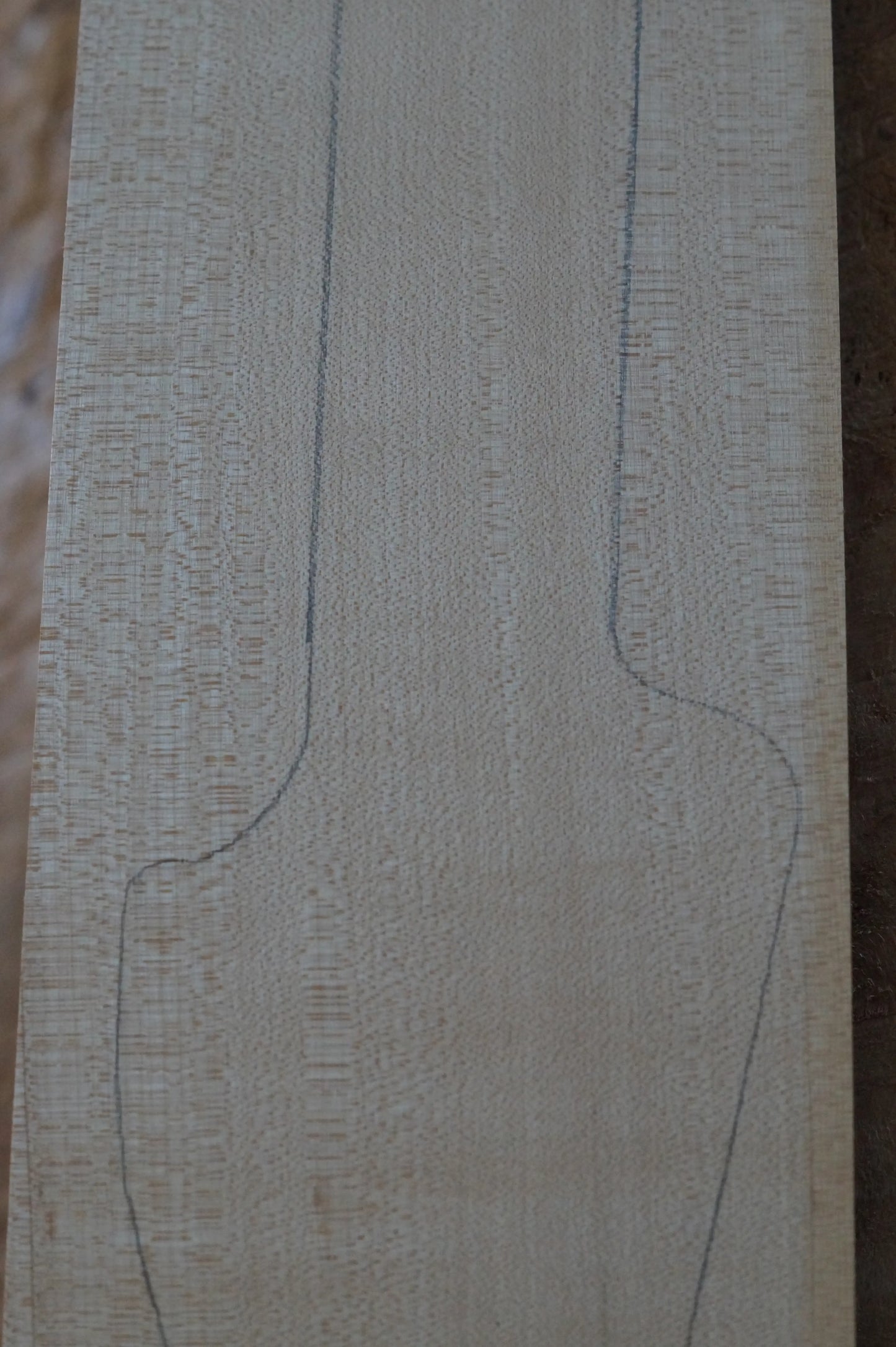 Halsrohling Ahorn 050224-1 Bass