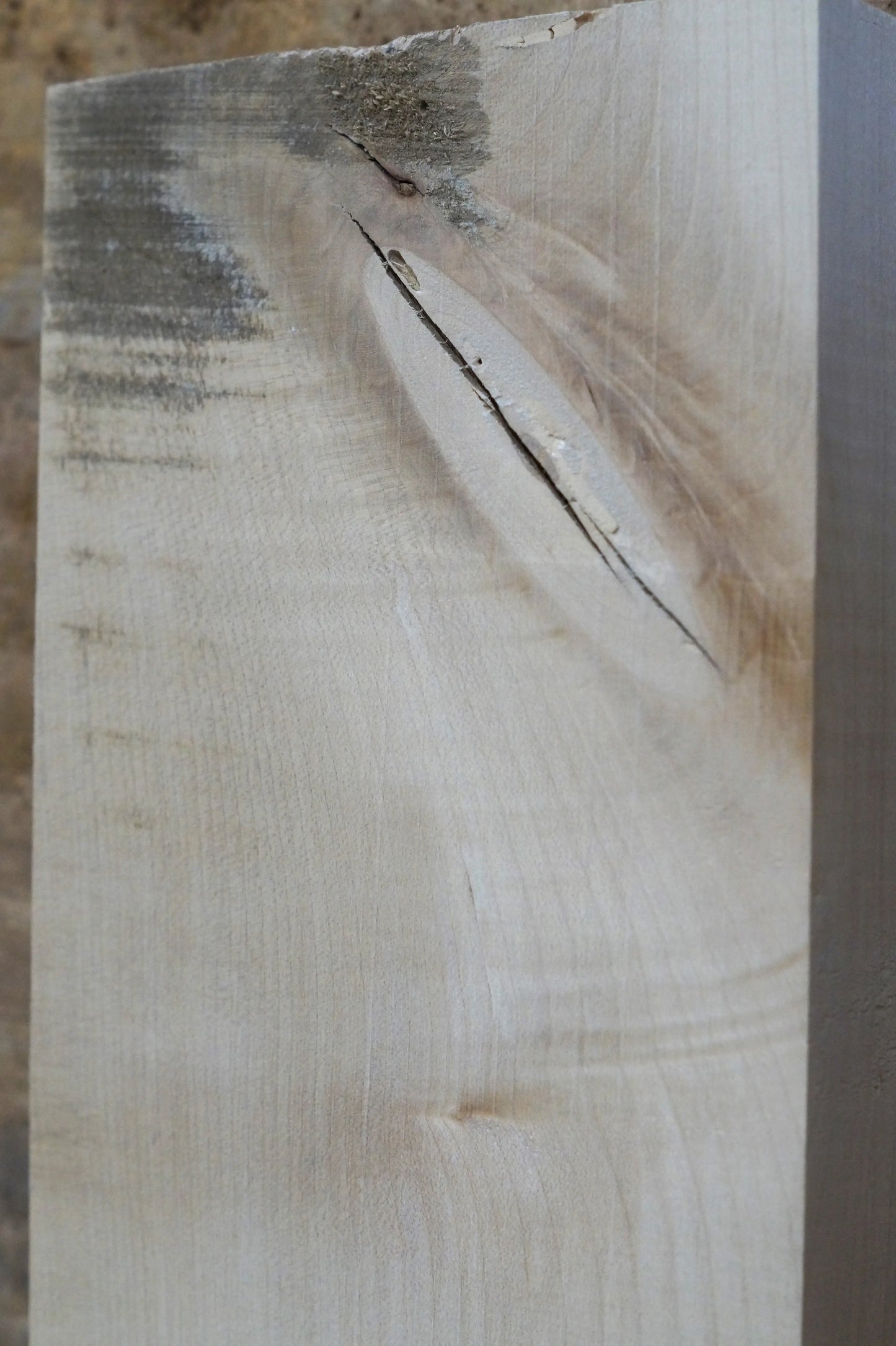 Halsrohling Ahorn Bass 070725-2 Bass