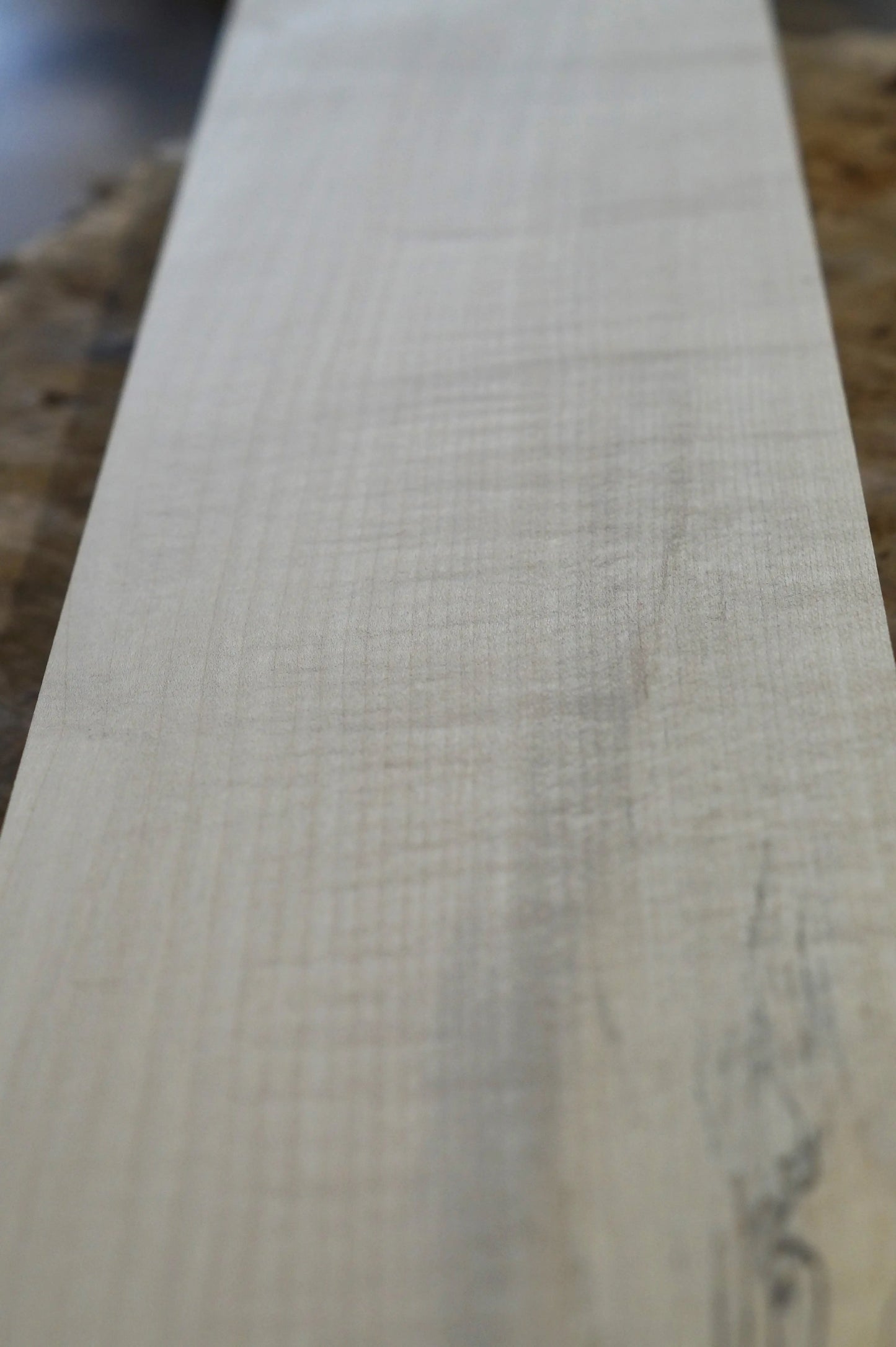 Halsrohling Ahorn Bass 070725-2 Bass