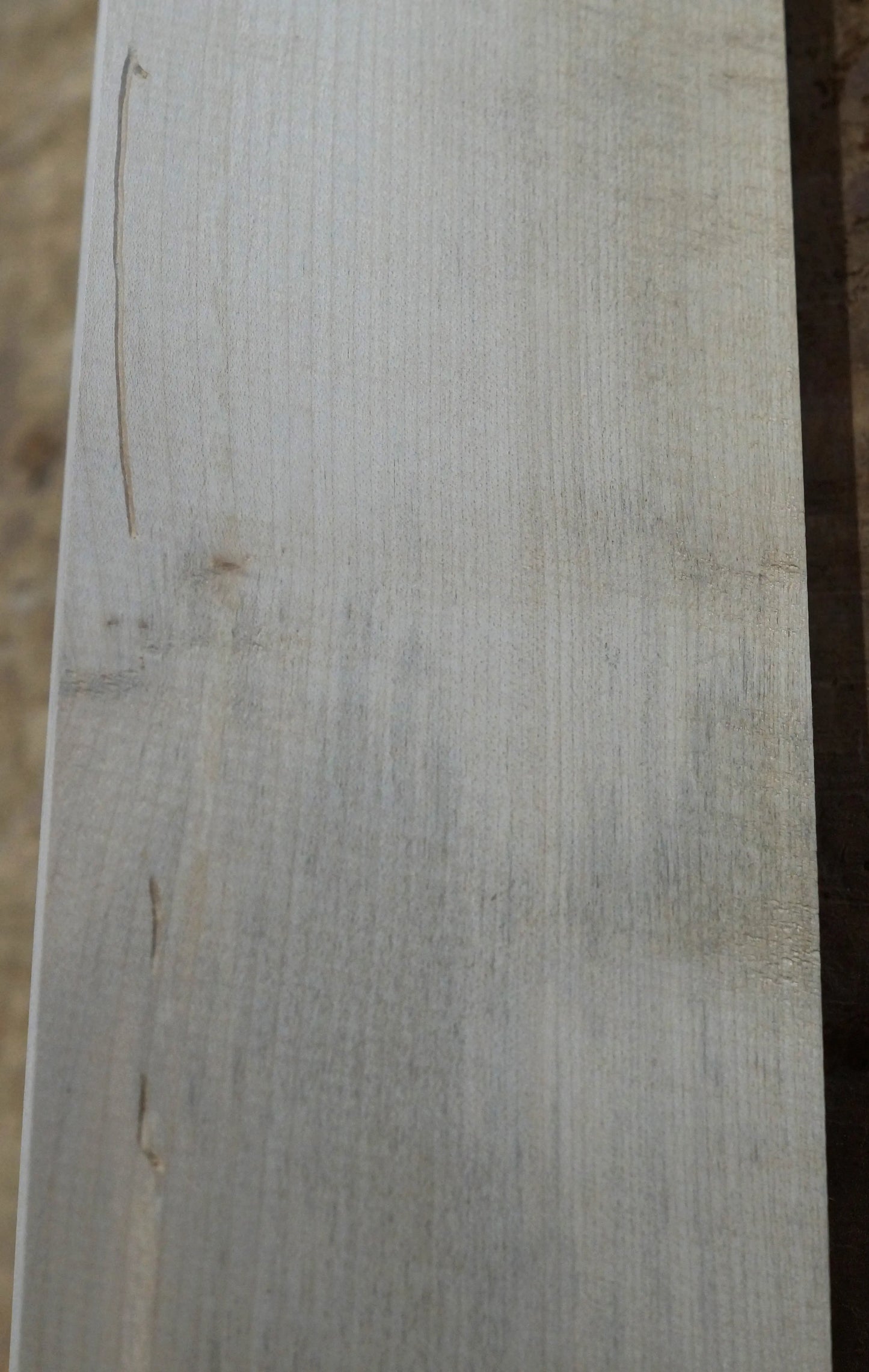 Halsrohling Ahorn Bass 070725-3 Bass B-Ware