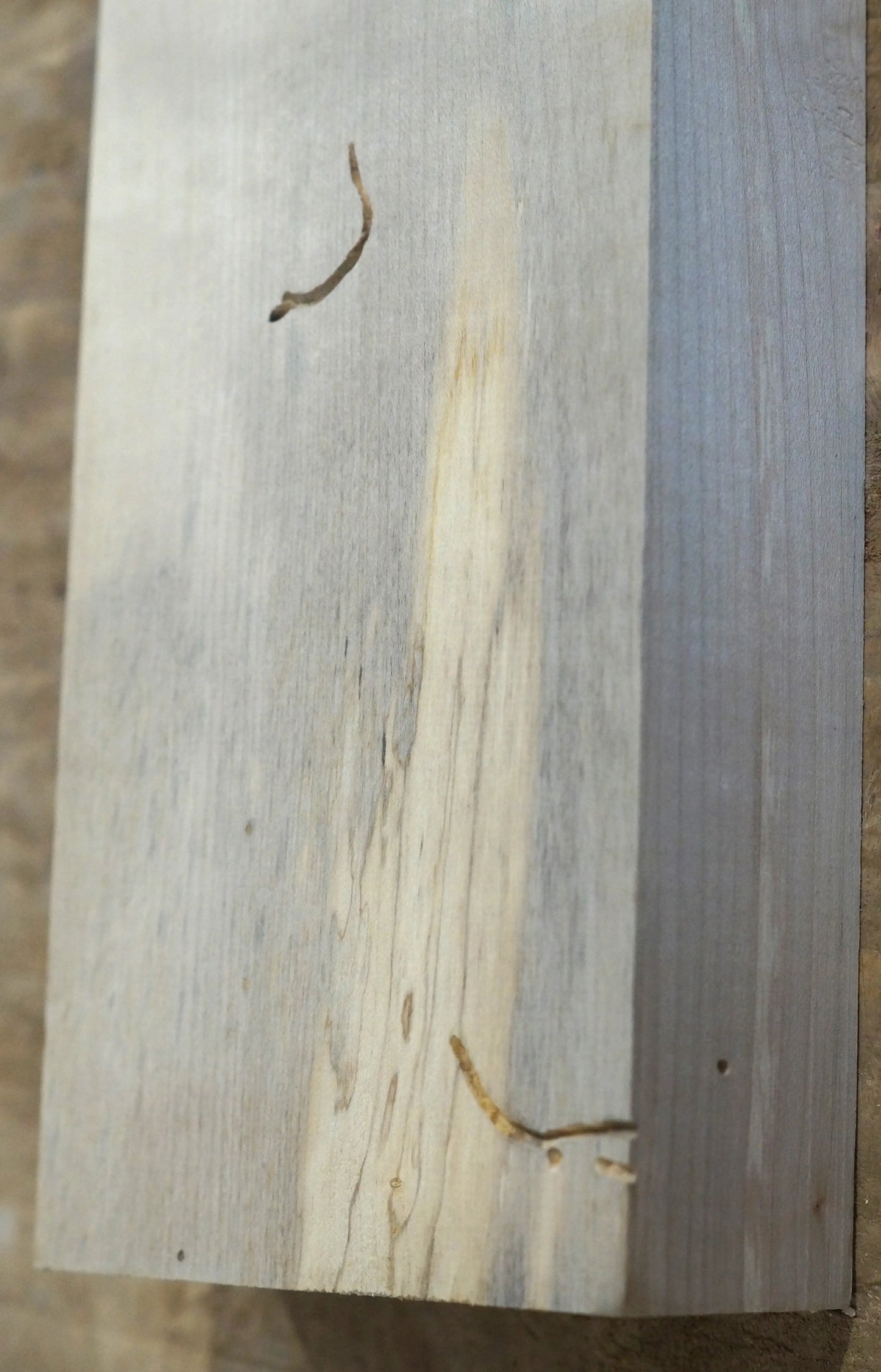 Halsrohling Ahorn Bass 070725-3 Bass B-Ware