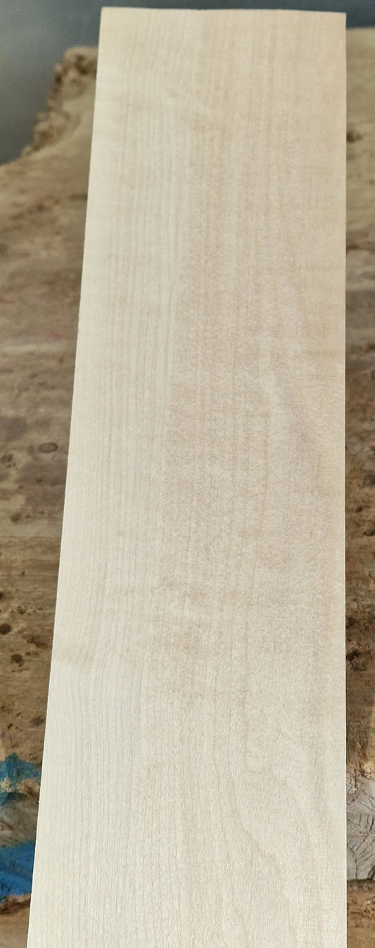 Halsrohling Ahorn 101225-1