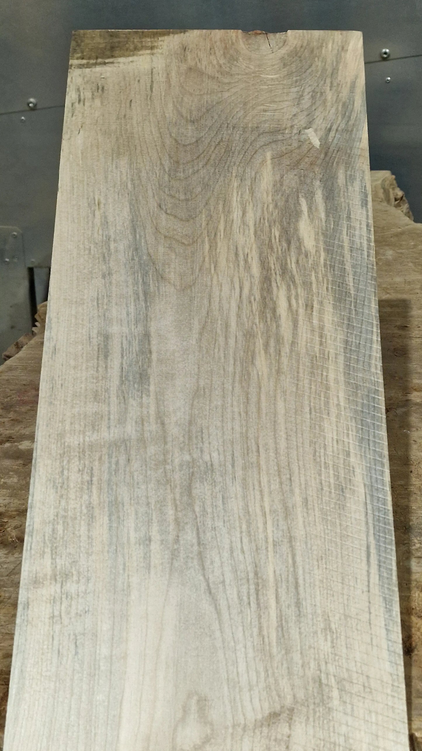 Halsrohling Ahorn 15122-1