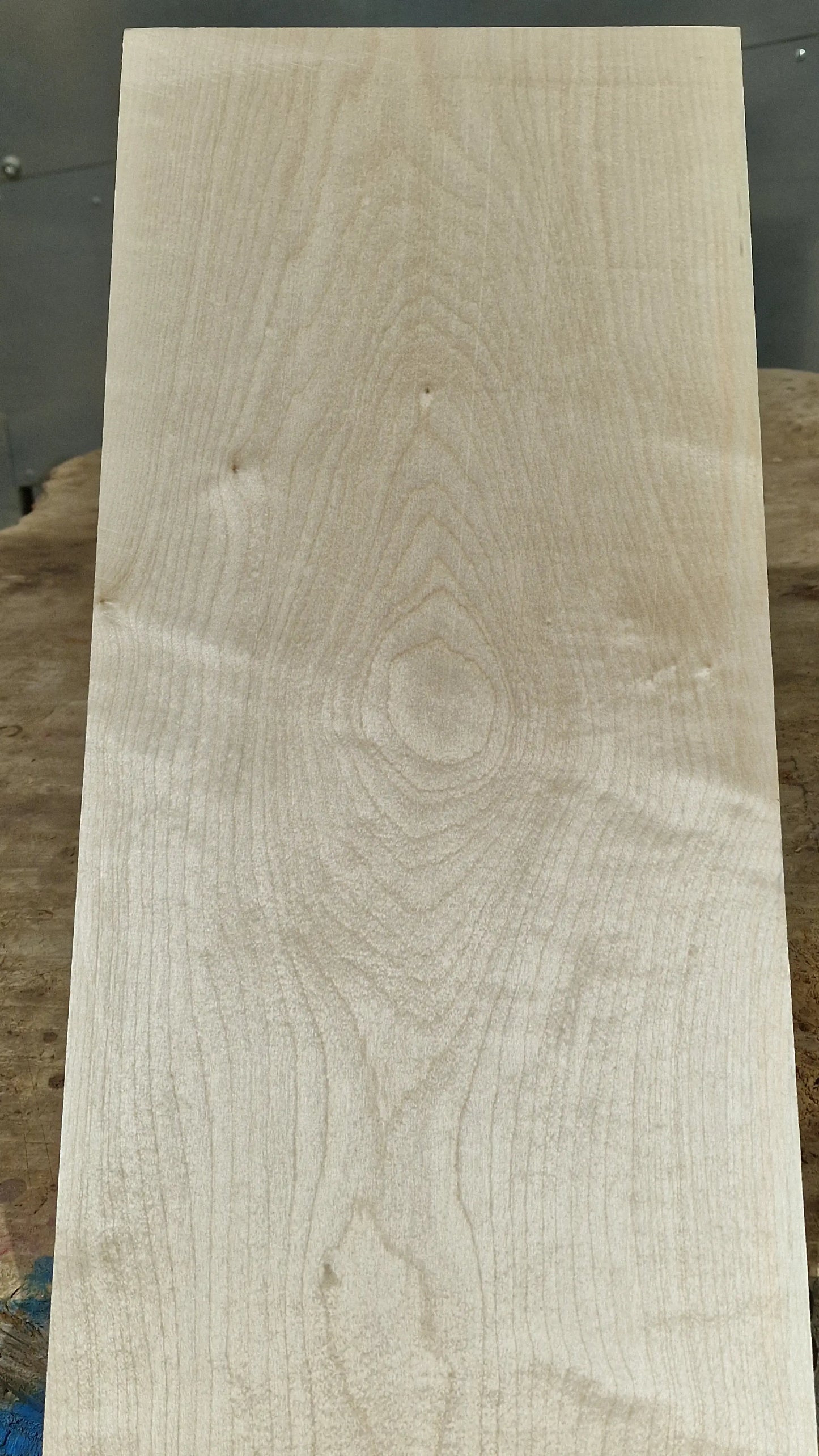 Halsrohling Ahorn 15122-1