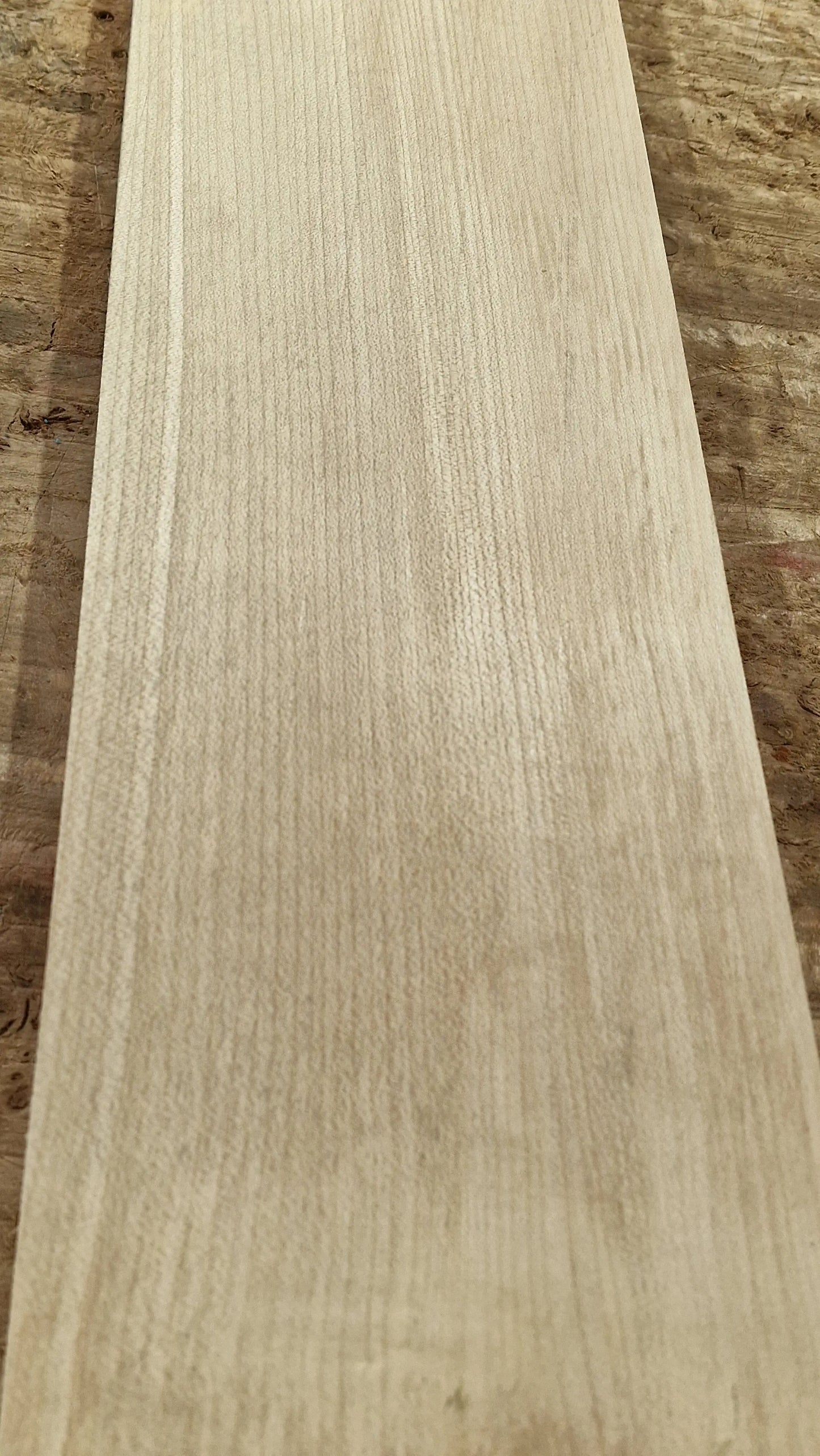 Halsrohling Ahorn 180526-1 Bass