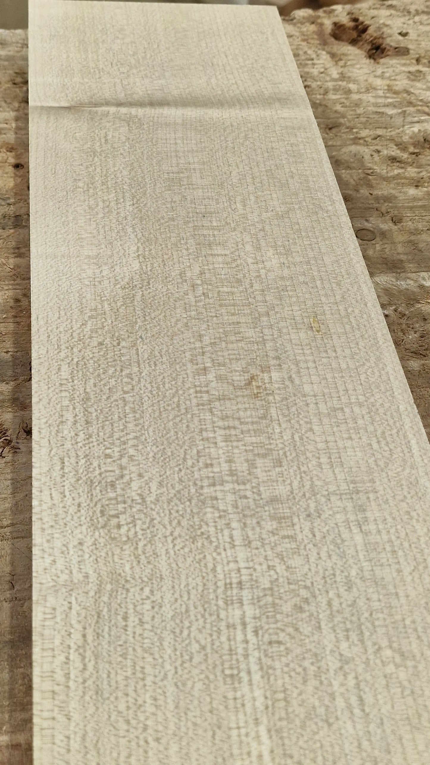 Halsrohling Ahorn 180526-1 Bass