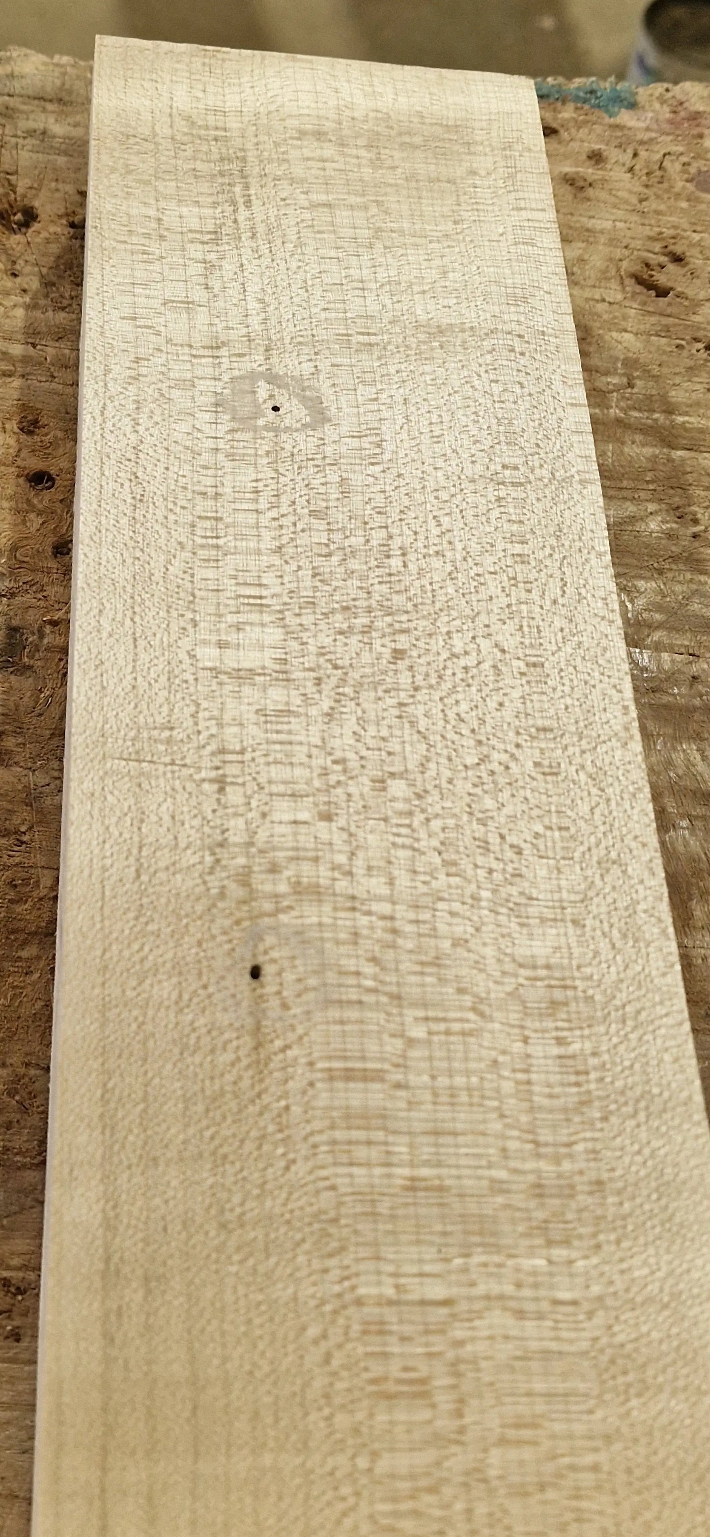 Halsrohling Ahorn 180526-2 Bass