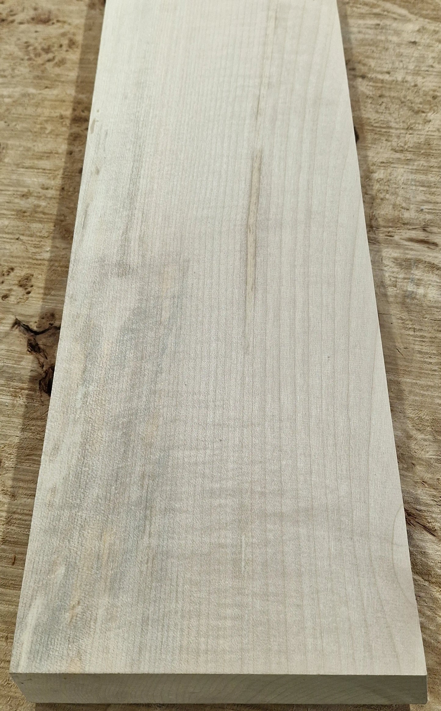 Halsrohling Ahorn 290825 Bass
