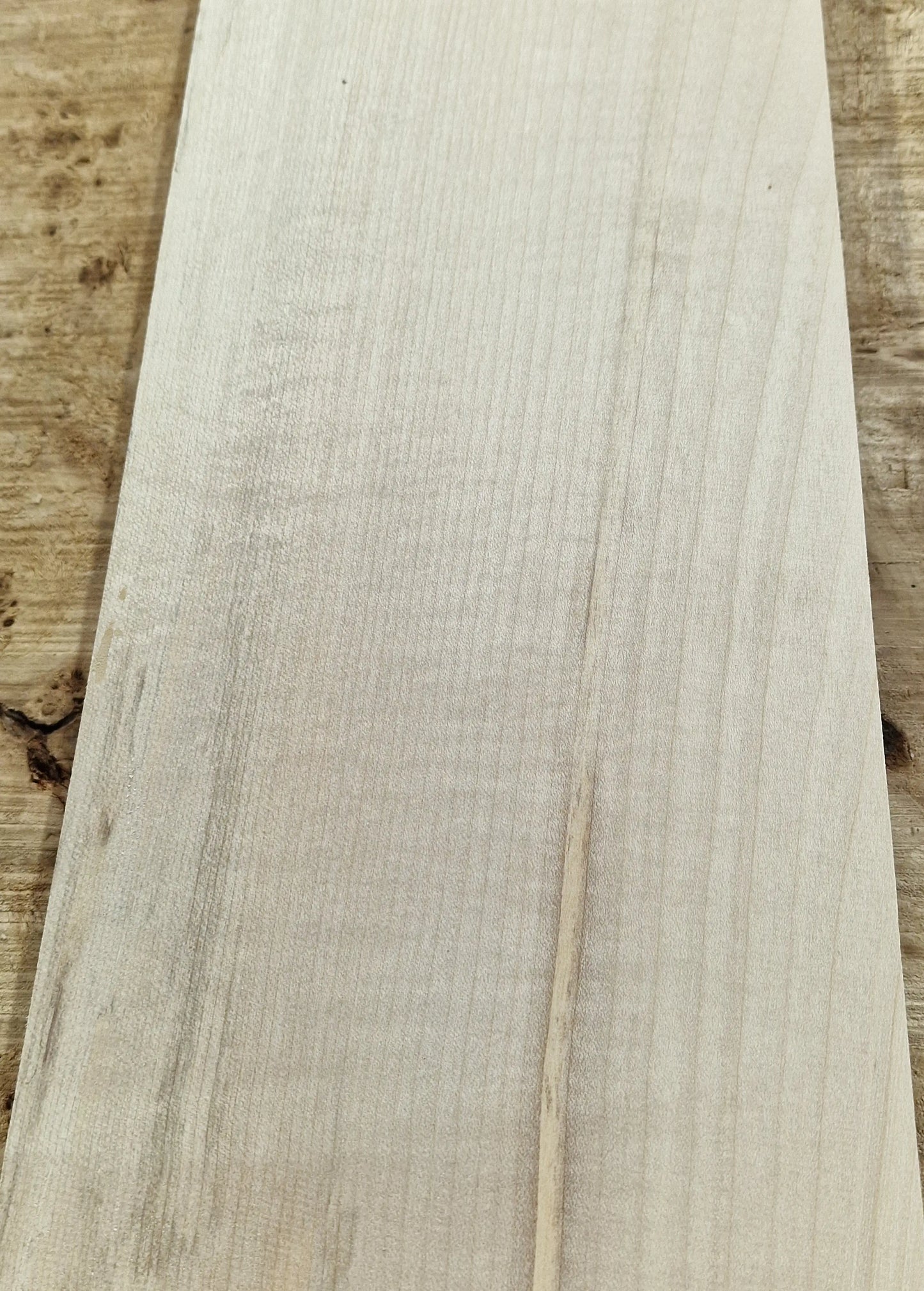 Halsrohling Ahorn 290825 Bass
