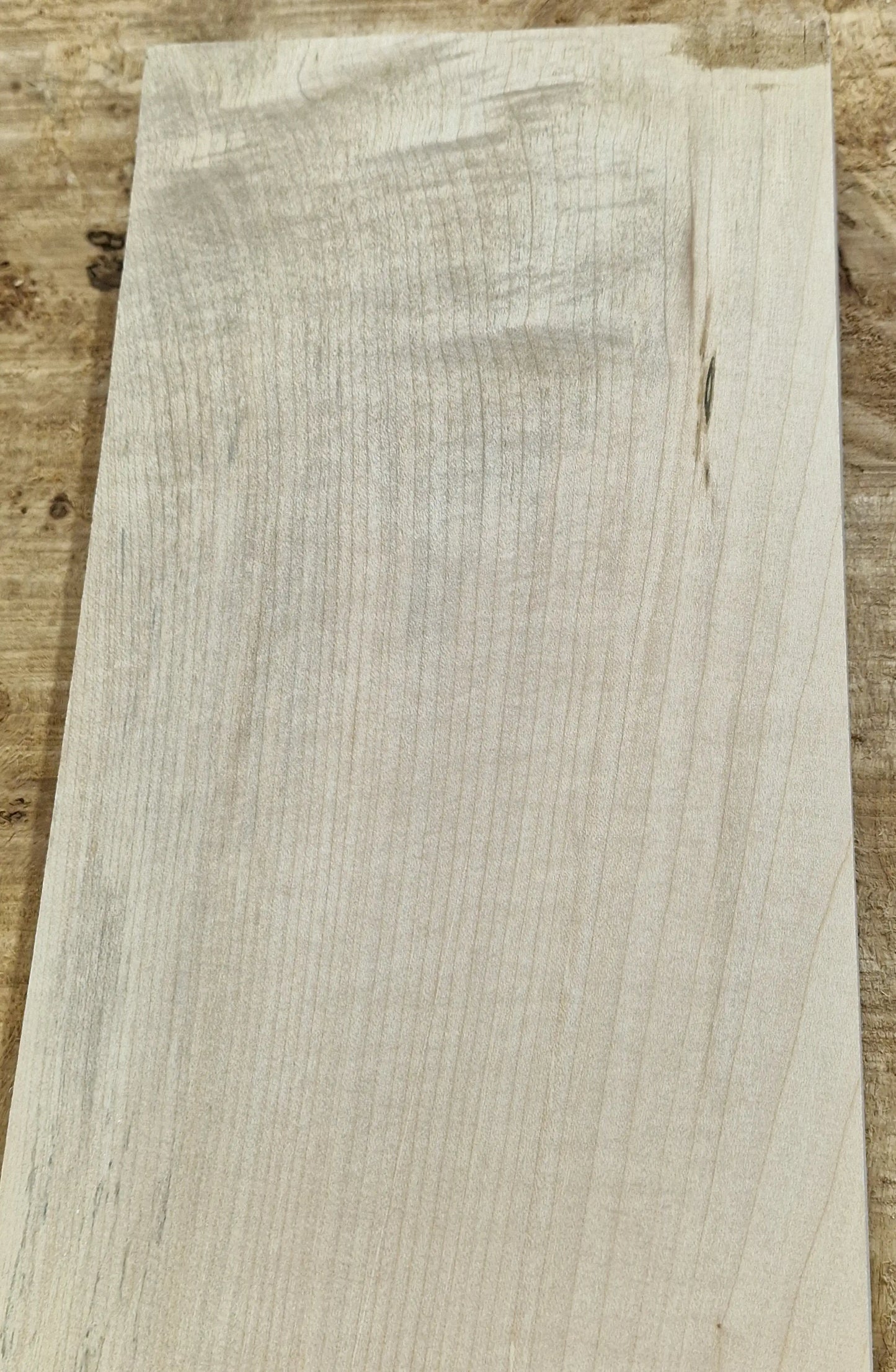 Halsrohling Ahorn 290825 Bass
