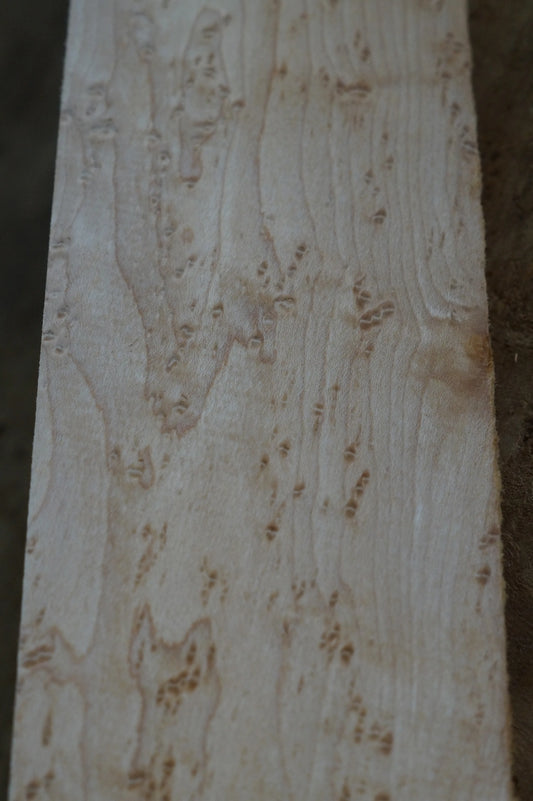 Halsrohling Birds Eye Maple 200924