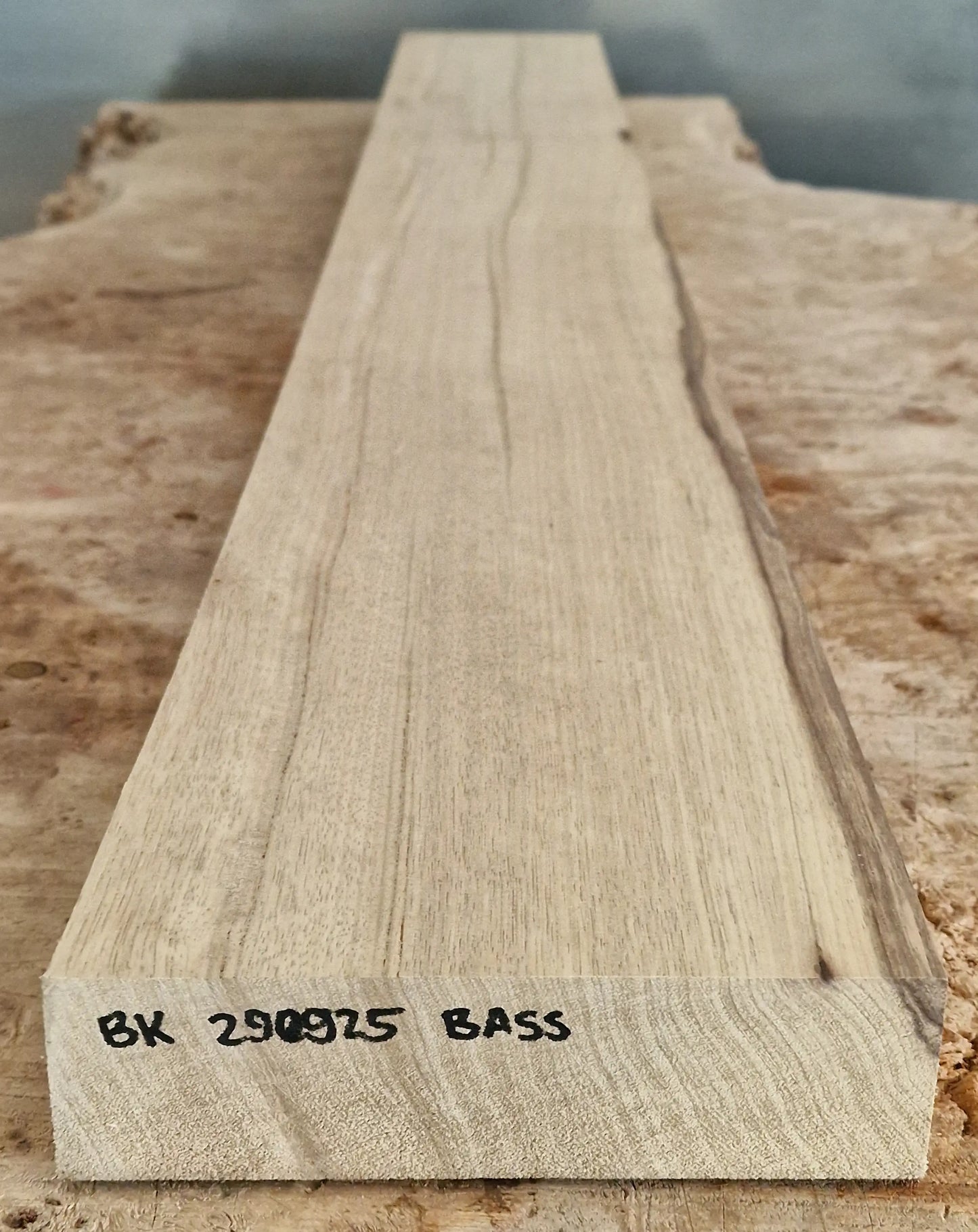 Halsrohling Black Korina 290925 Bass