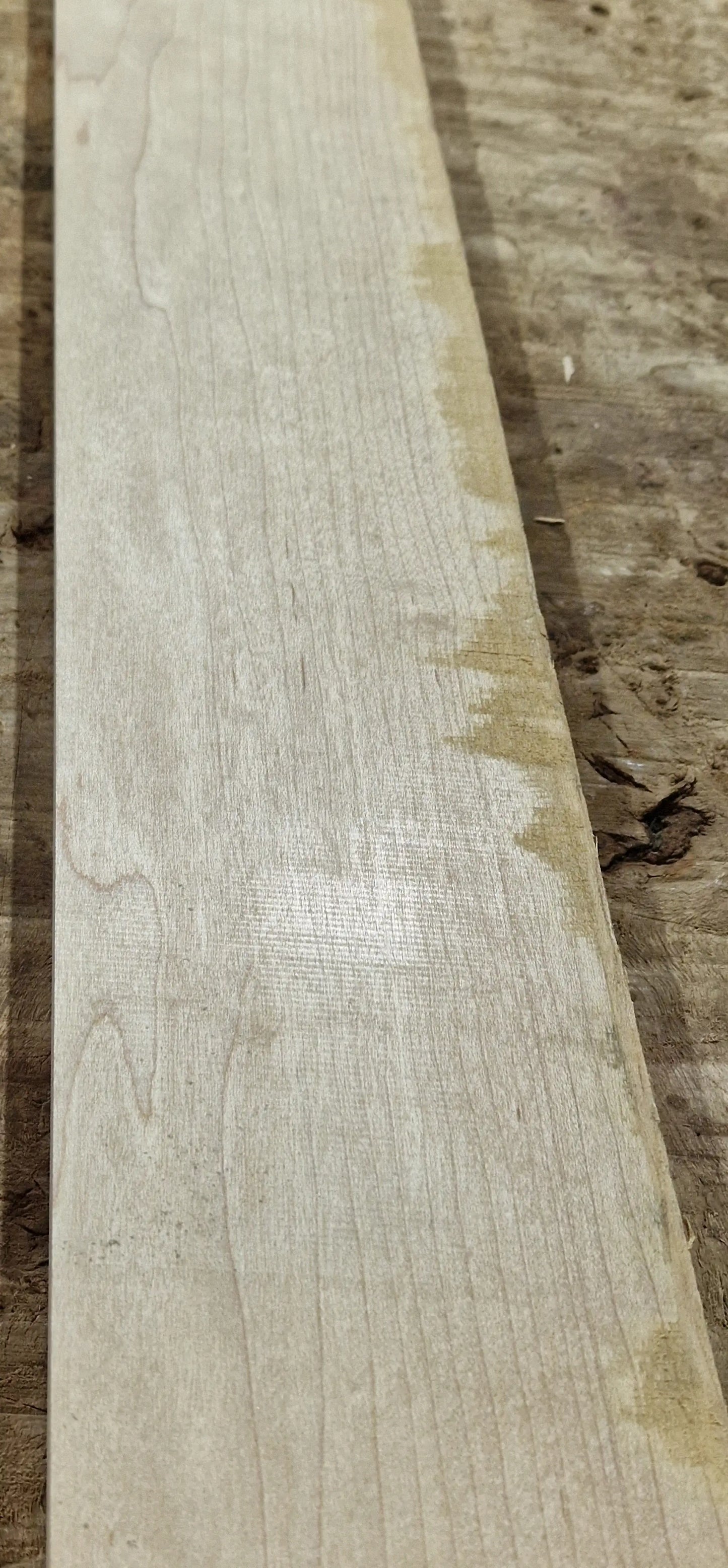 Halsrohling Hard Maple 040526