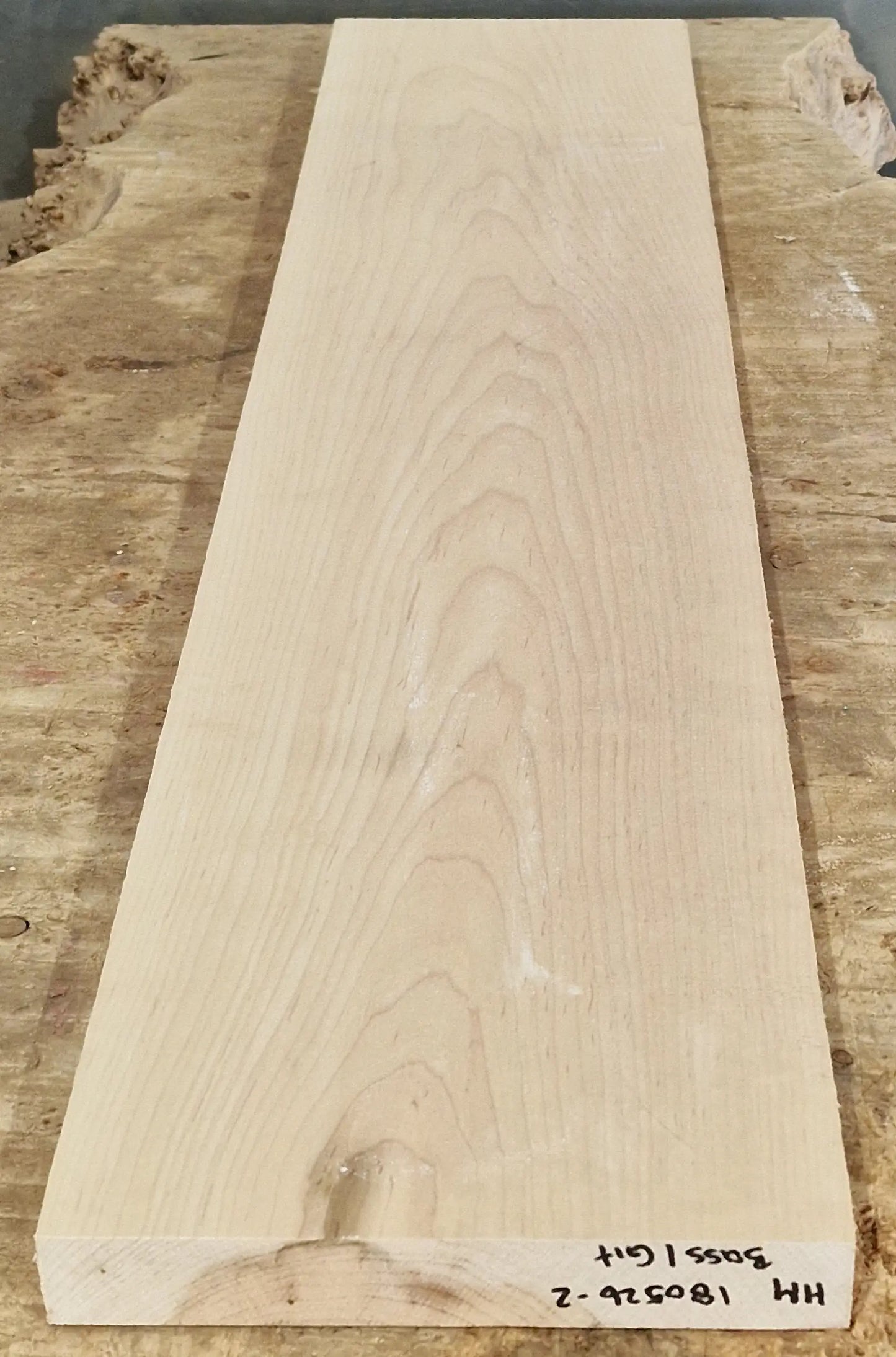 Halsrohling Hard Maple 180526-2 Bass/Git