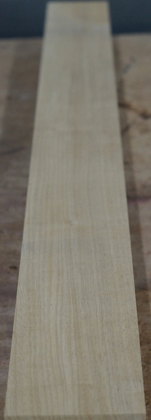 Halsrohling Korina 120625-3 Bass