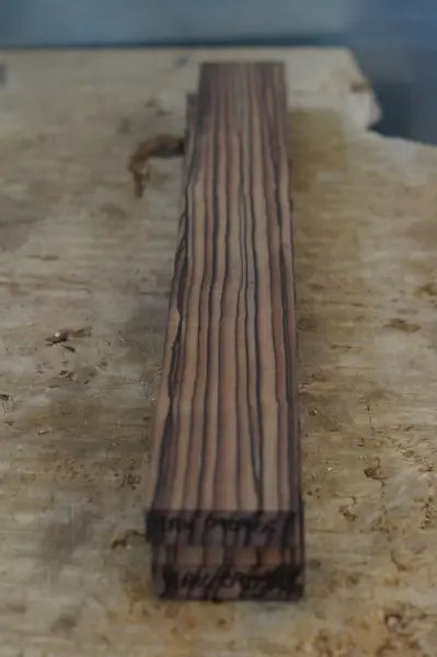 Halsrohling Makassar Ebenholz