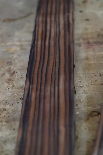 Halsrohling Makassar Ebenholz