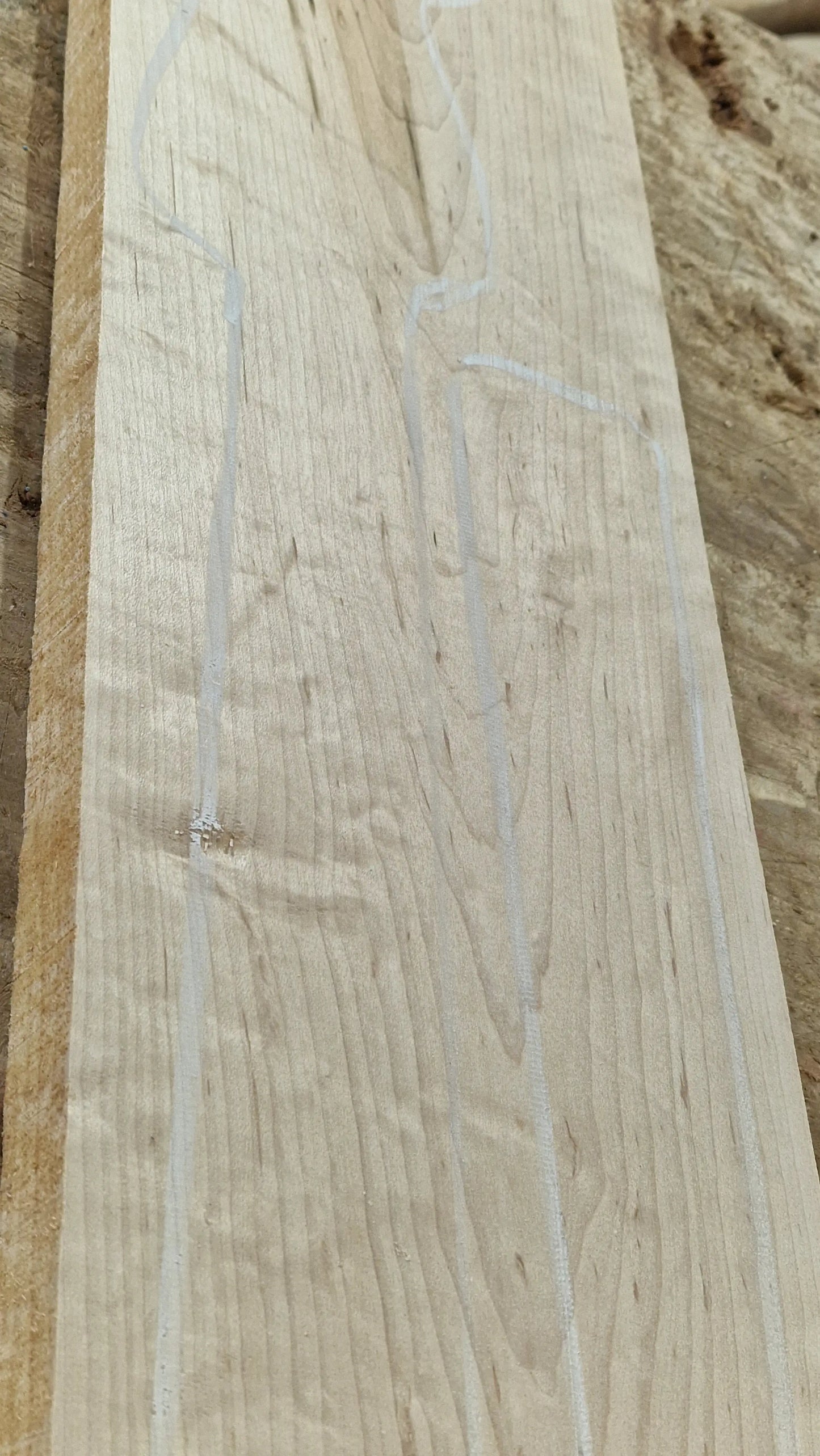 Halsrohling Quilted Hard Maple 180526-1 Bass/Git